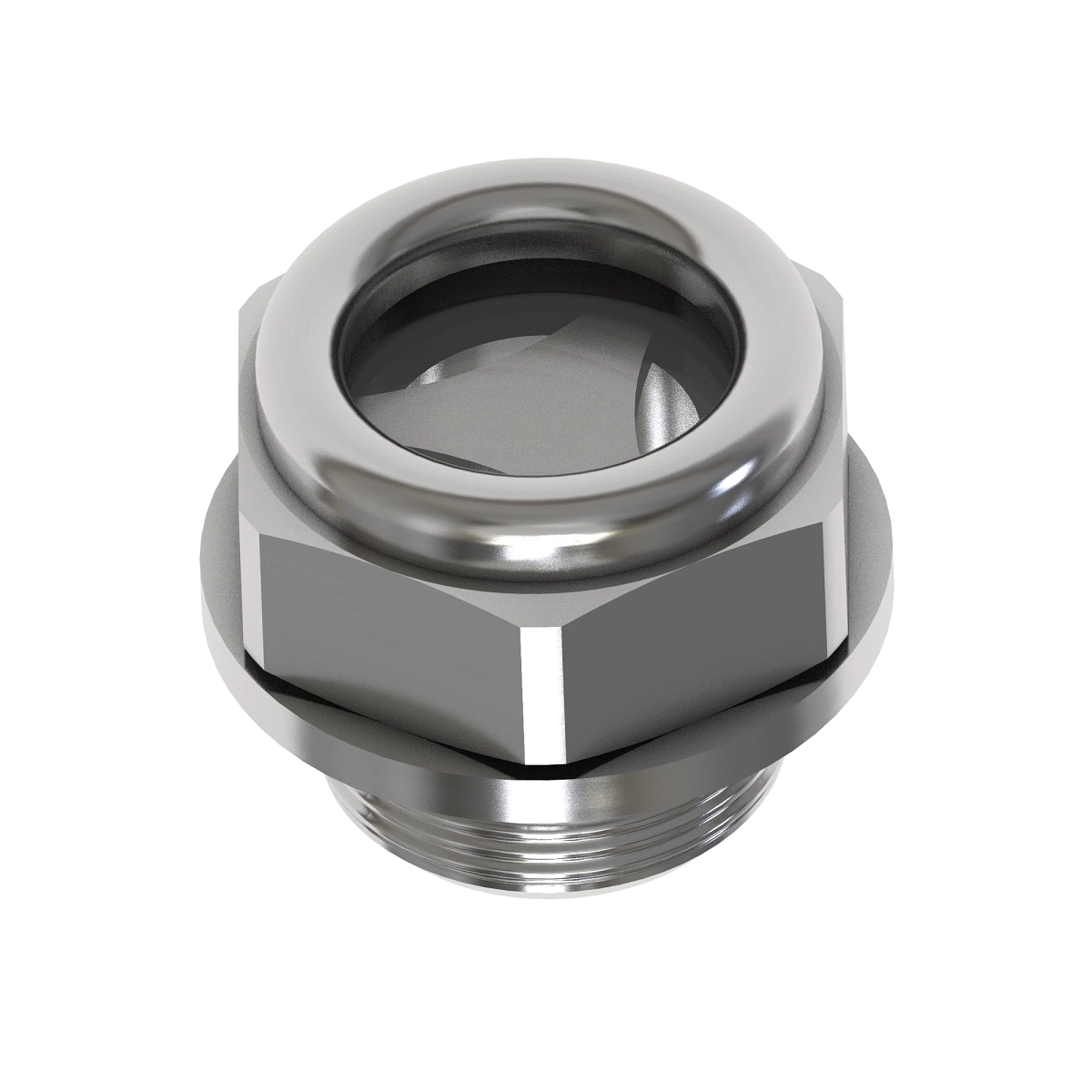 Sight Plug