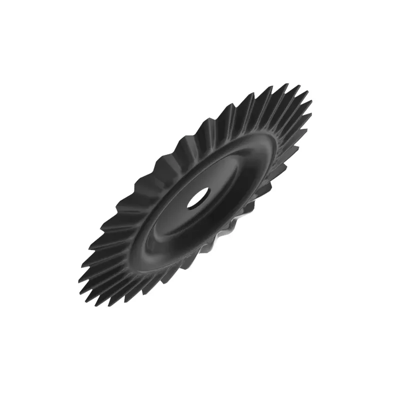 Disk