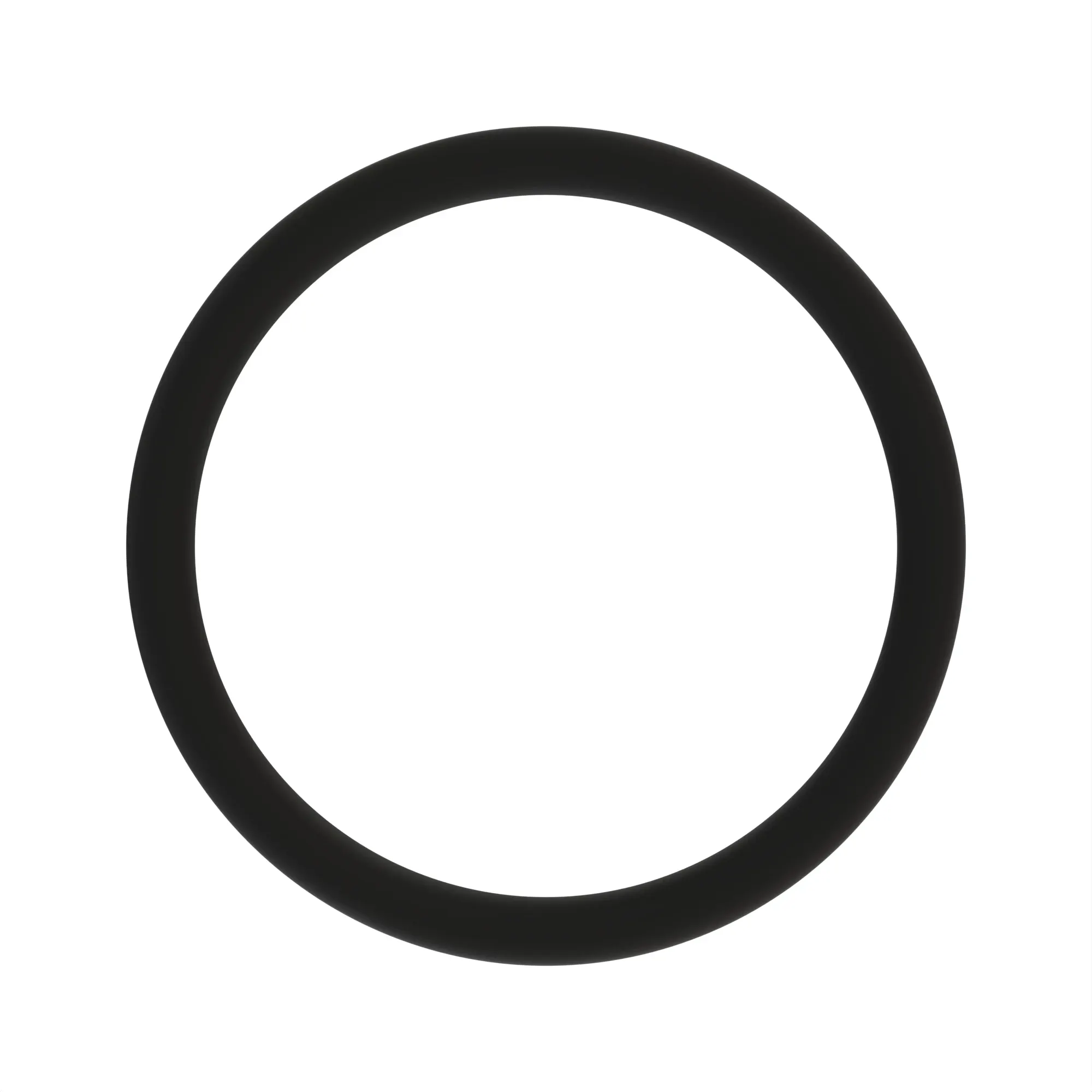 O-RING  25,300 X 2,400 DIA