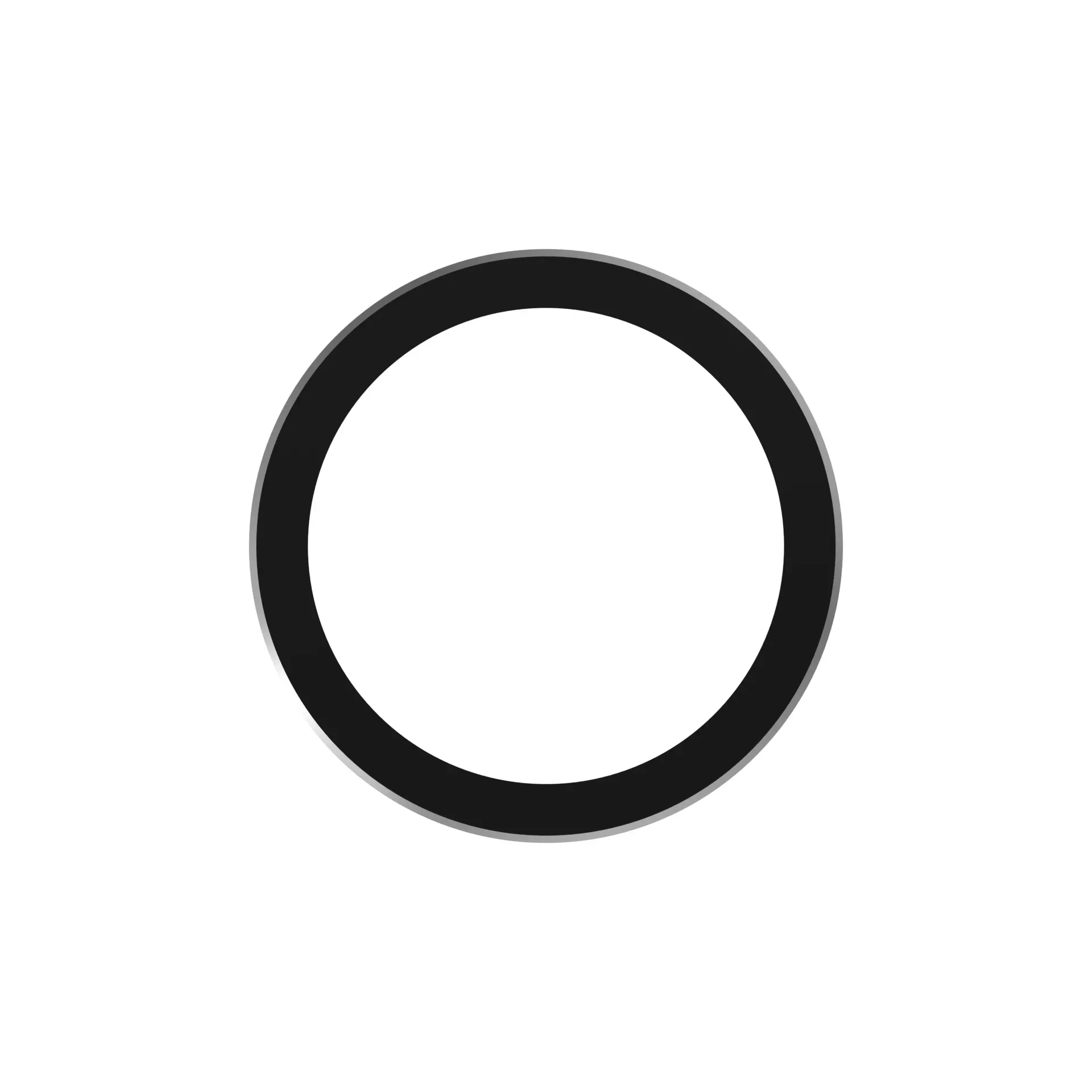 Disk