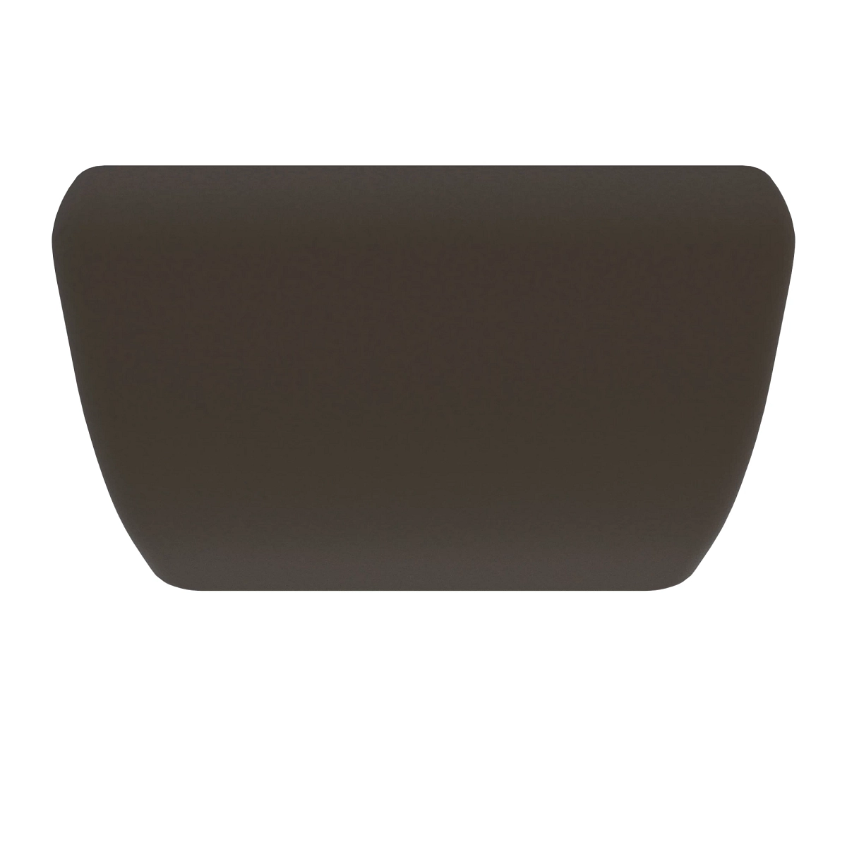 Cushion, Passenger Backrest Assy