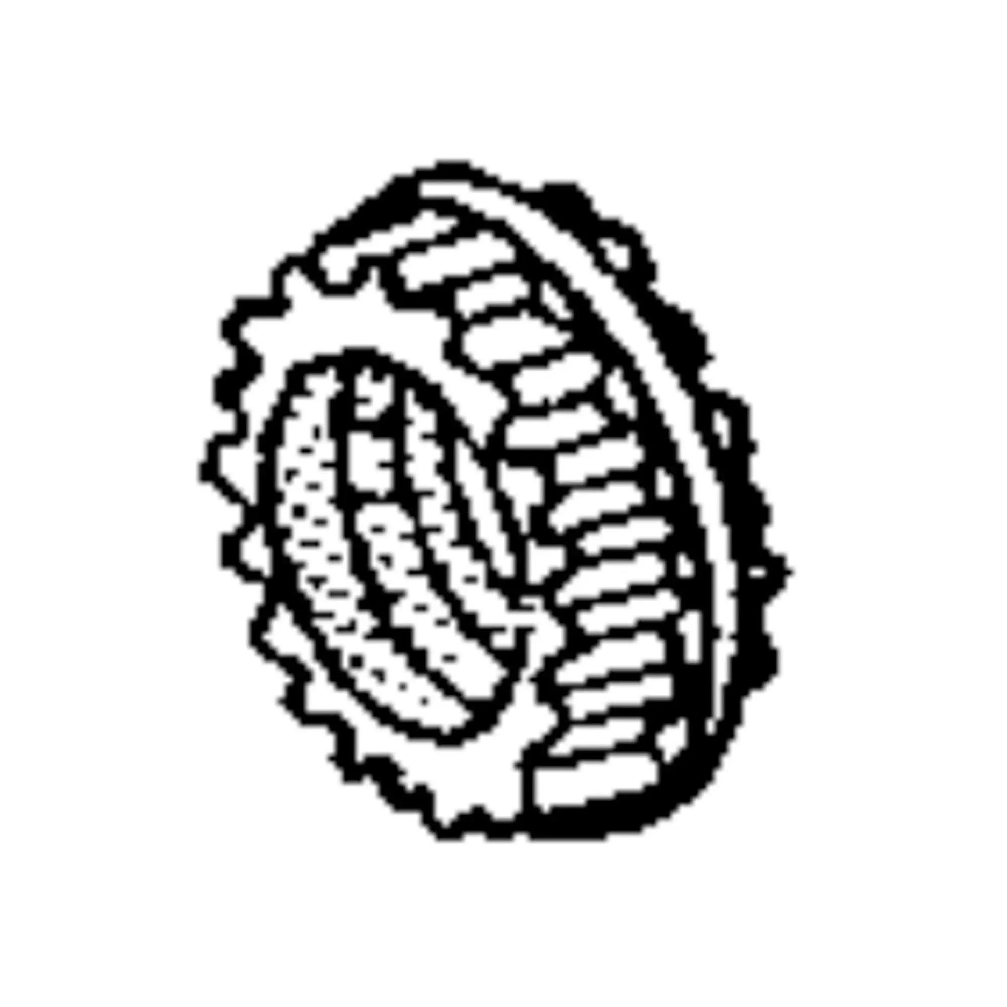 John Deere Transmission High-Low Clutch Synchronizer - RE227962