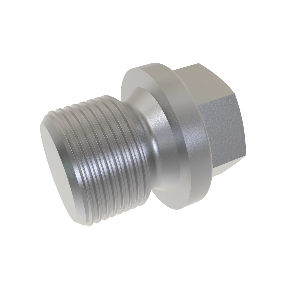 Fitting Plug