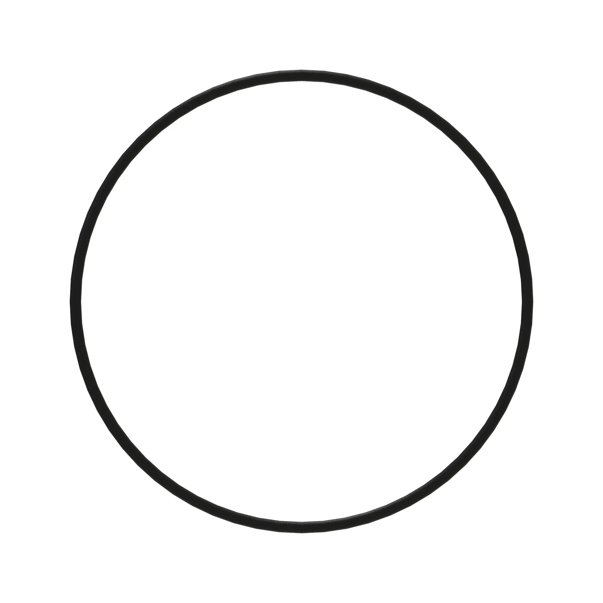 O-Ring