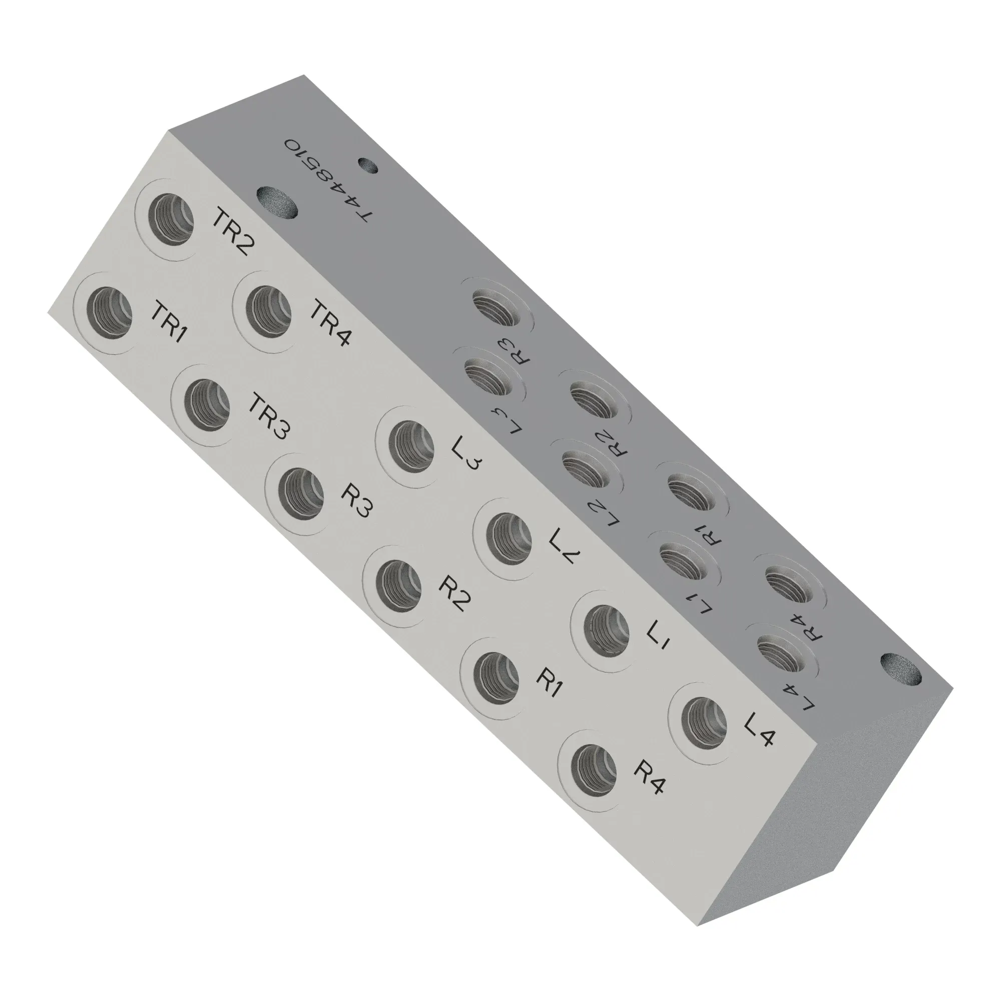 Manifold