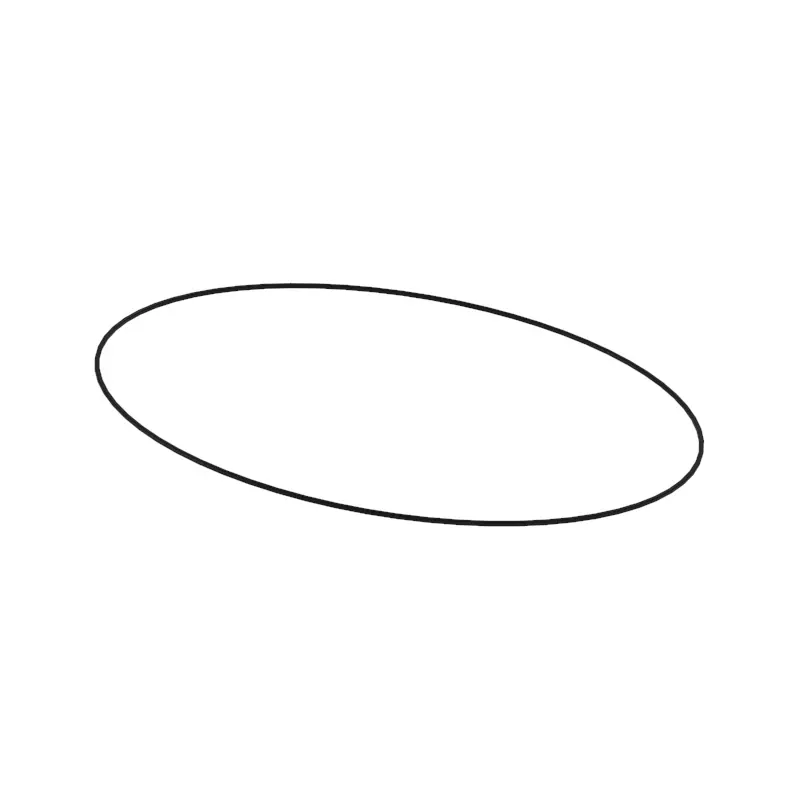 O-Ring