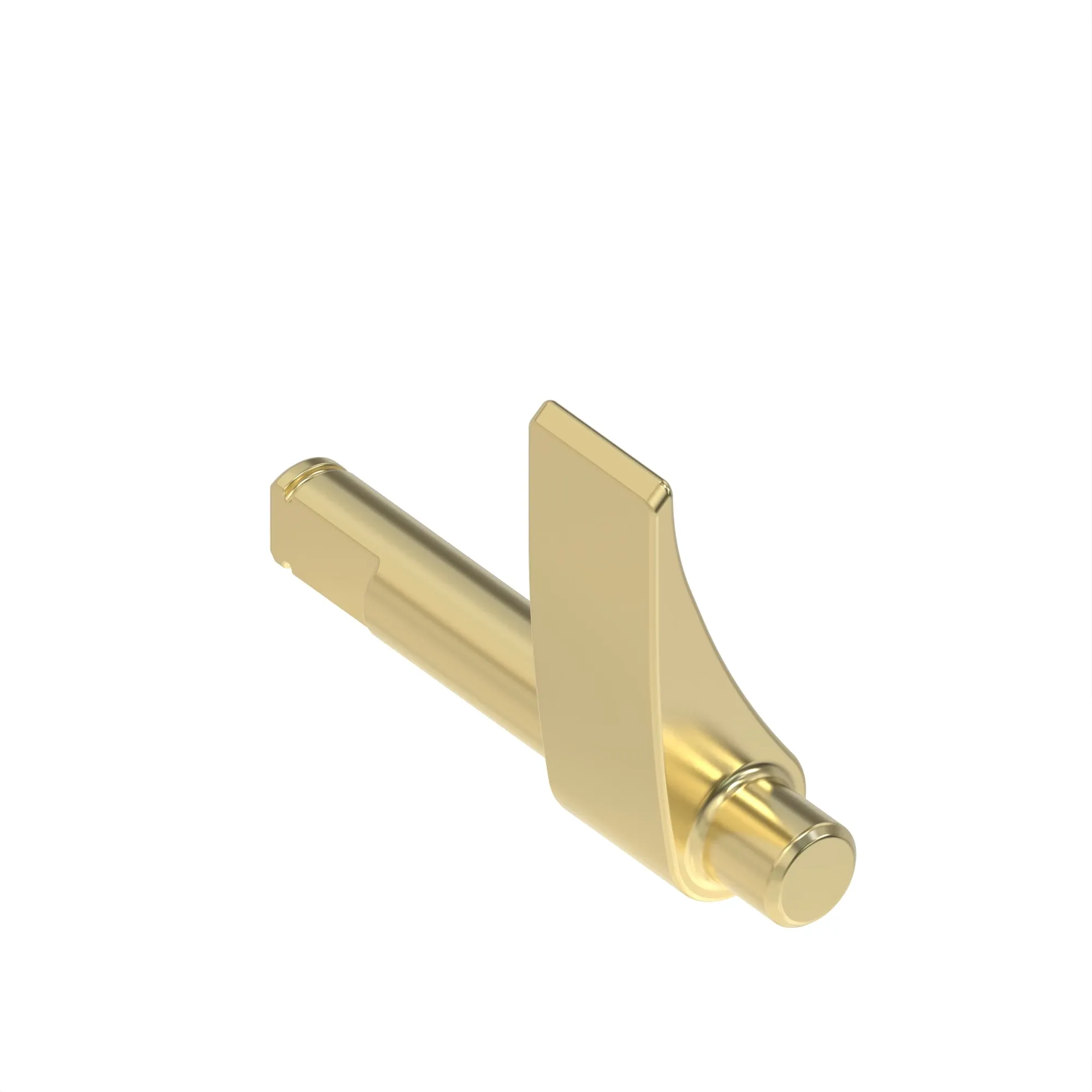 PAWL, PAWL, PARK BRAKE LOCK