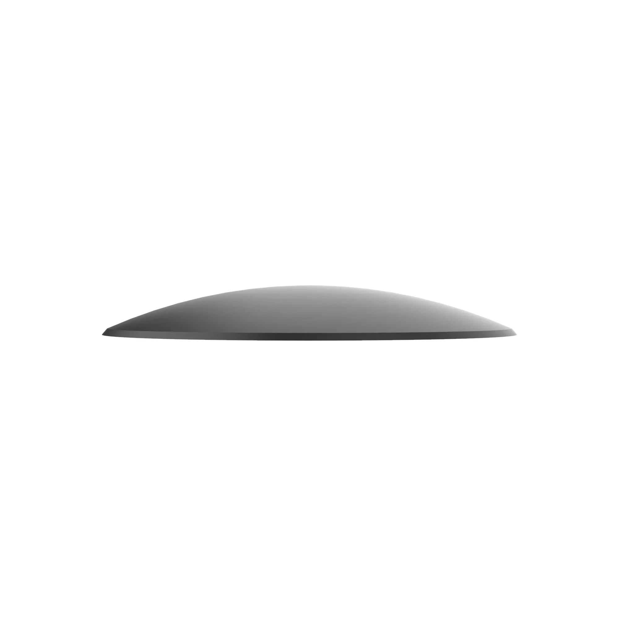 Disk