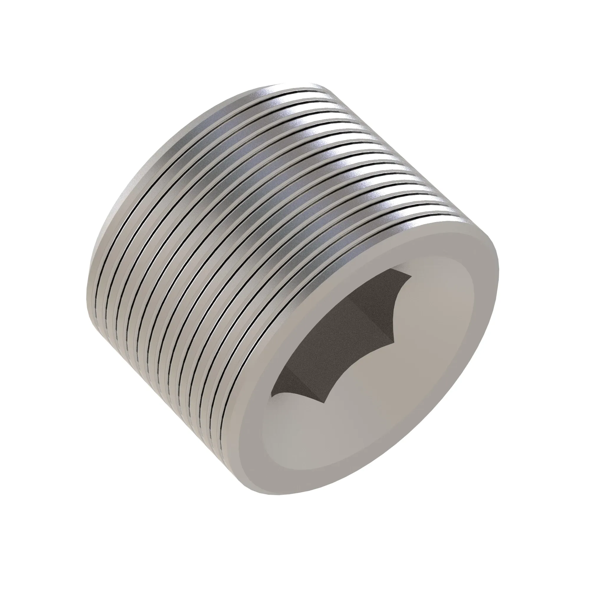 Pipe Plug