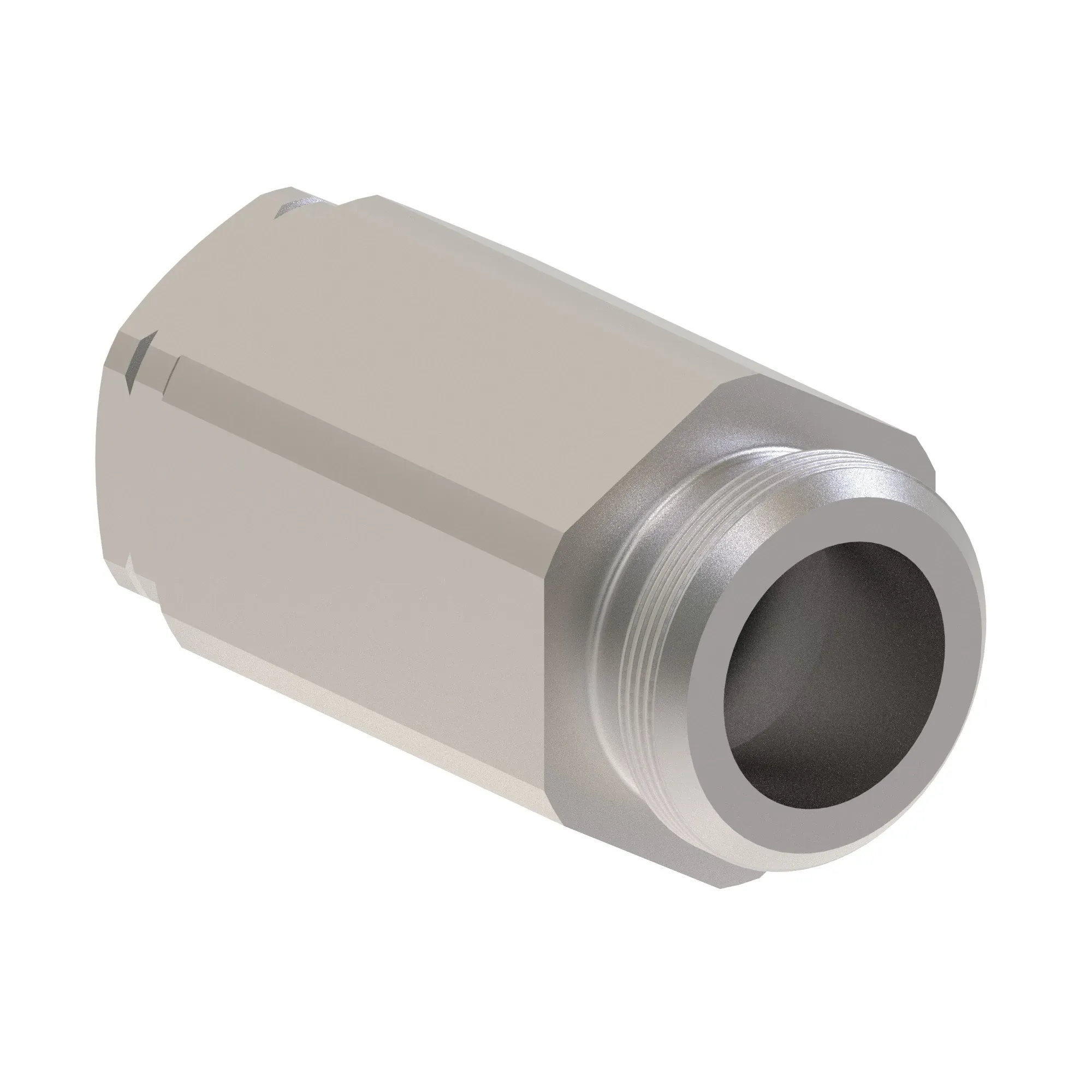 Check Valve