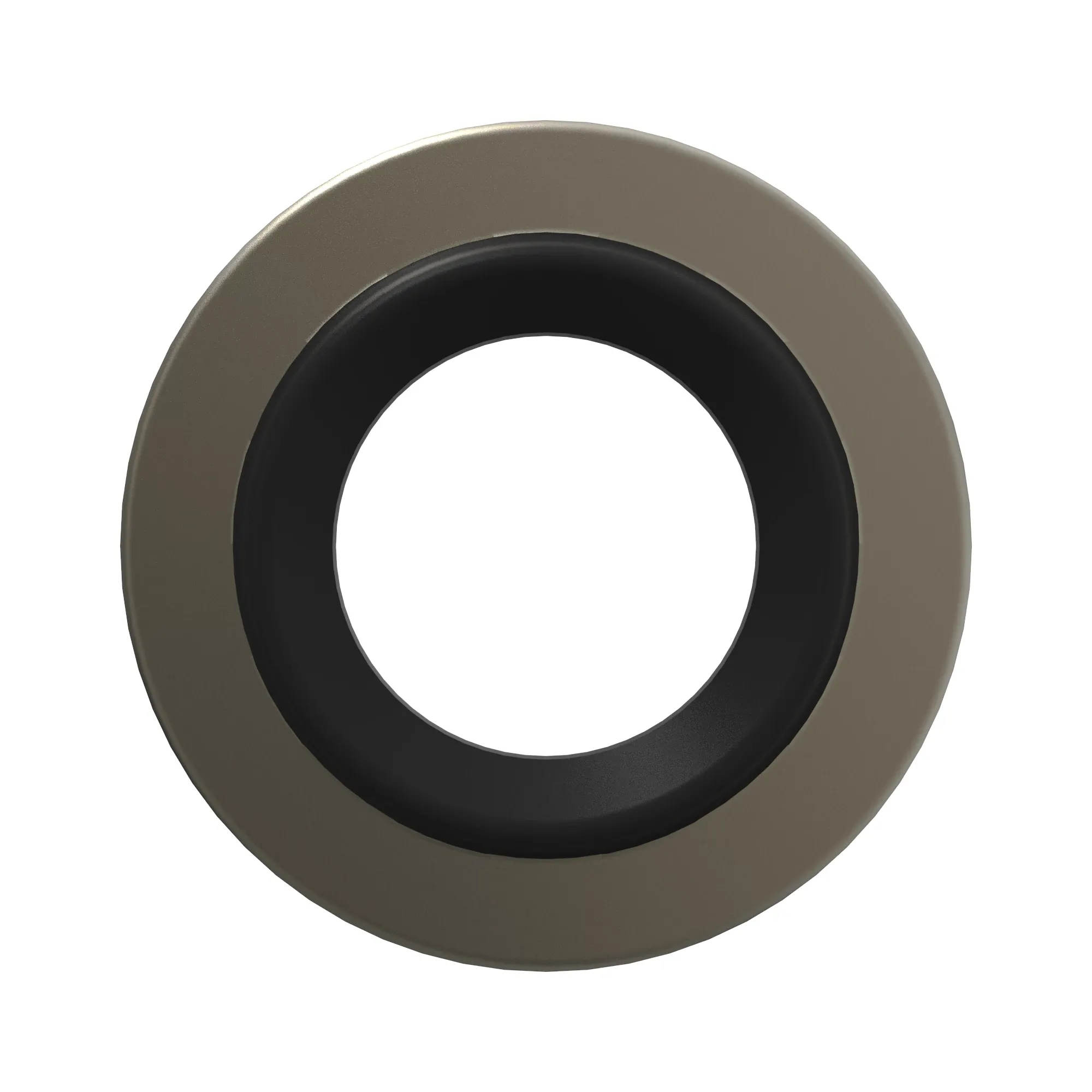 Sealing Washer