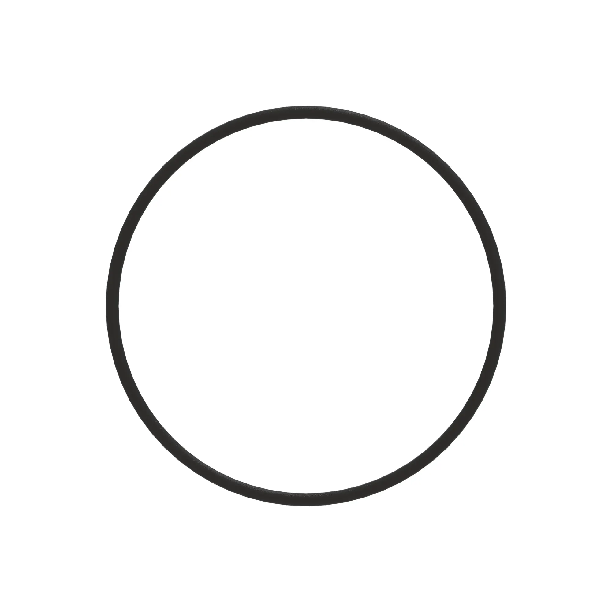 O-Ring