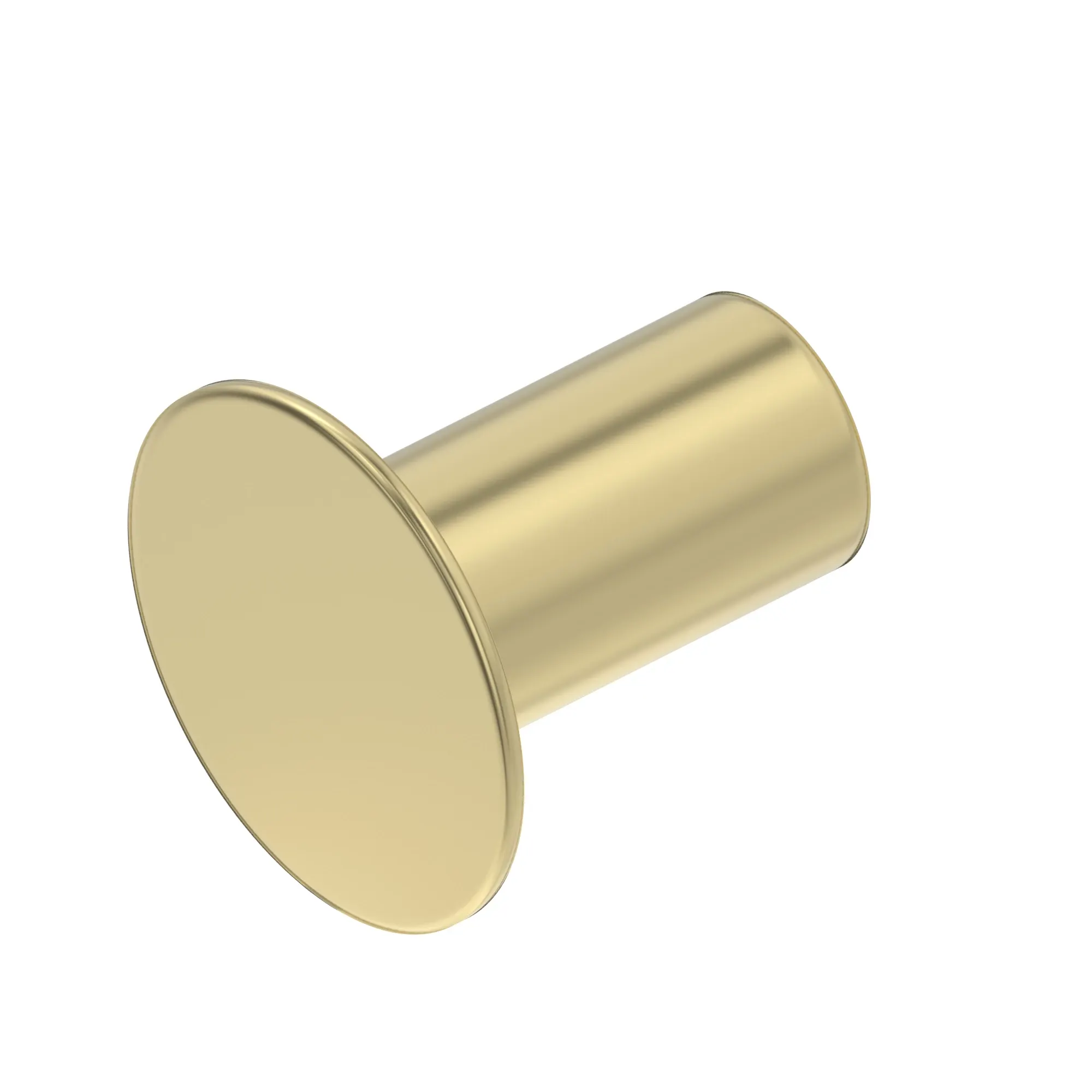 rivet