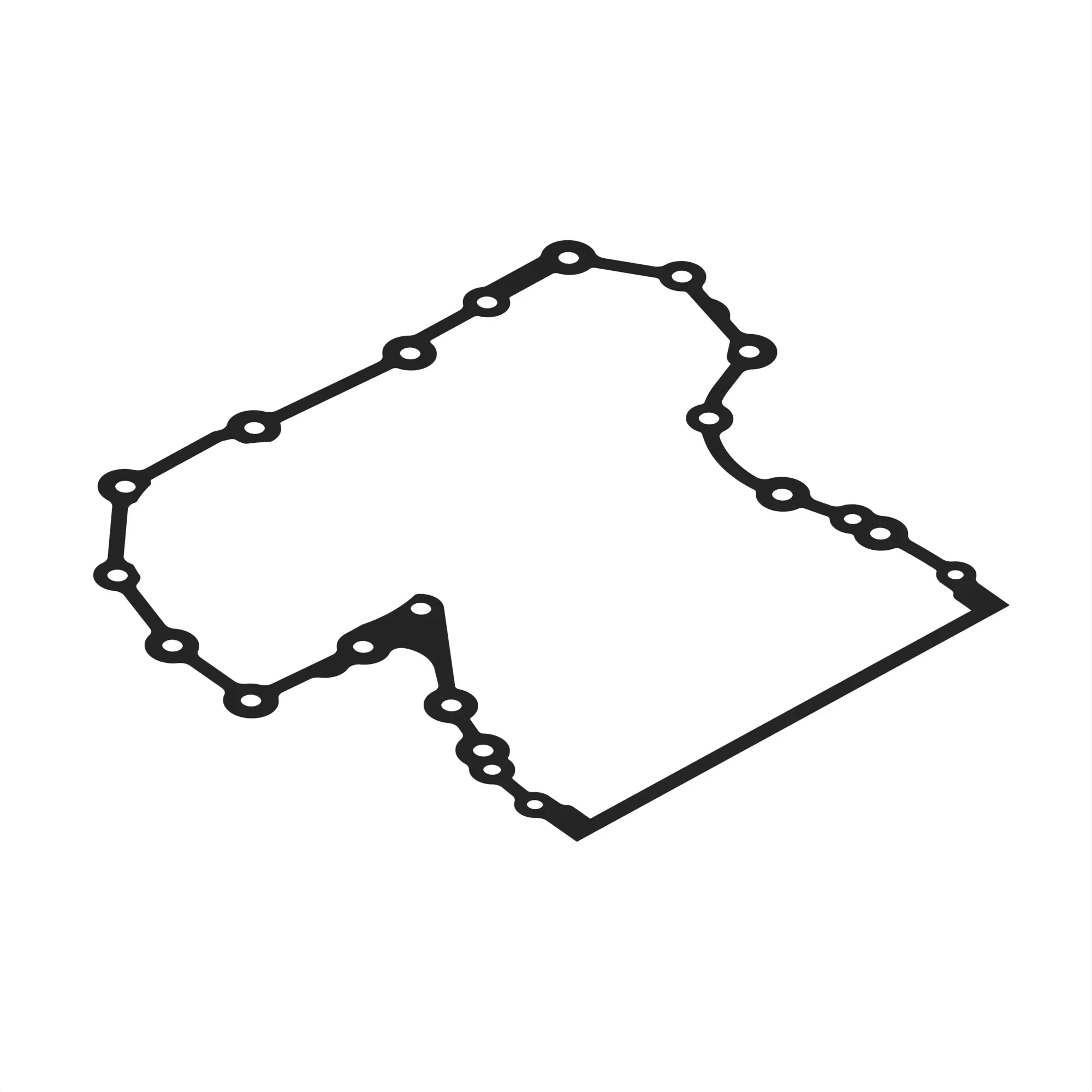 gasket