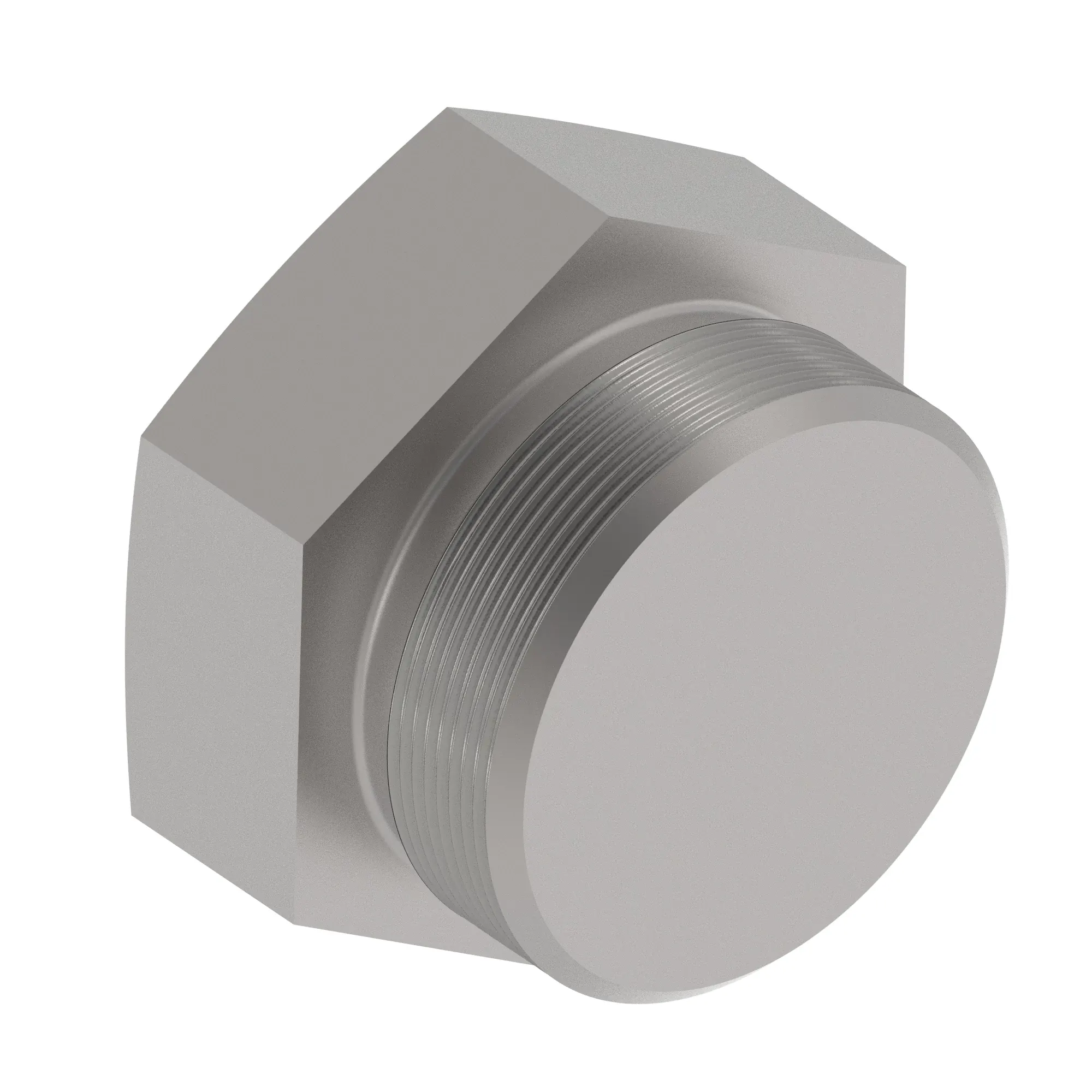 FITTING PLUG
