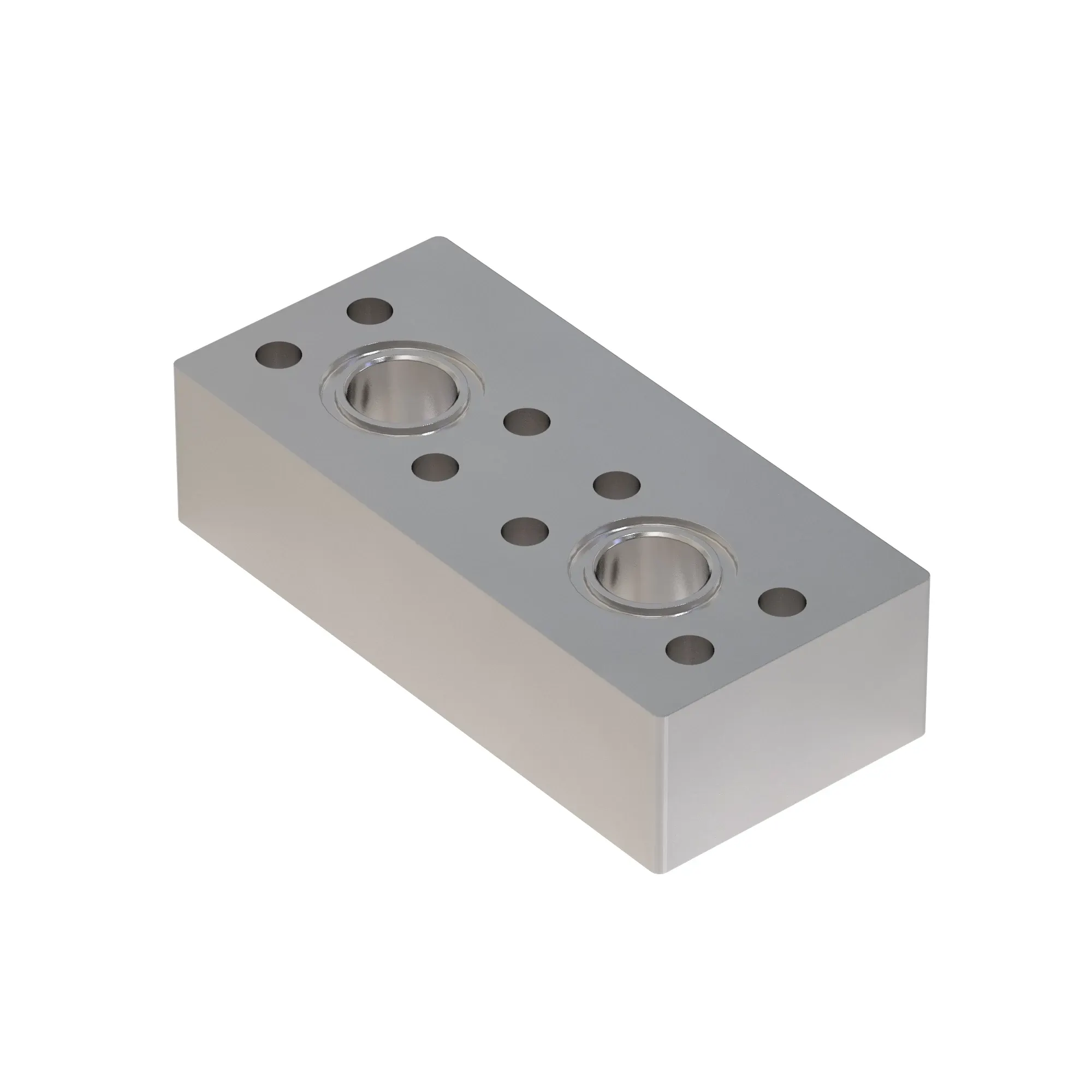 Manifold