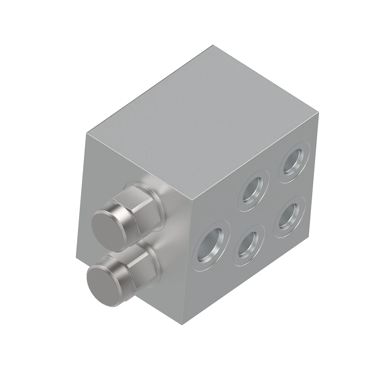Hydraulic Manifold