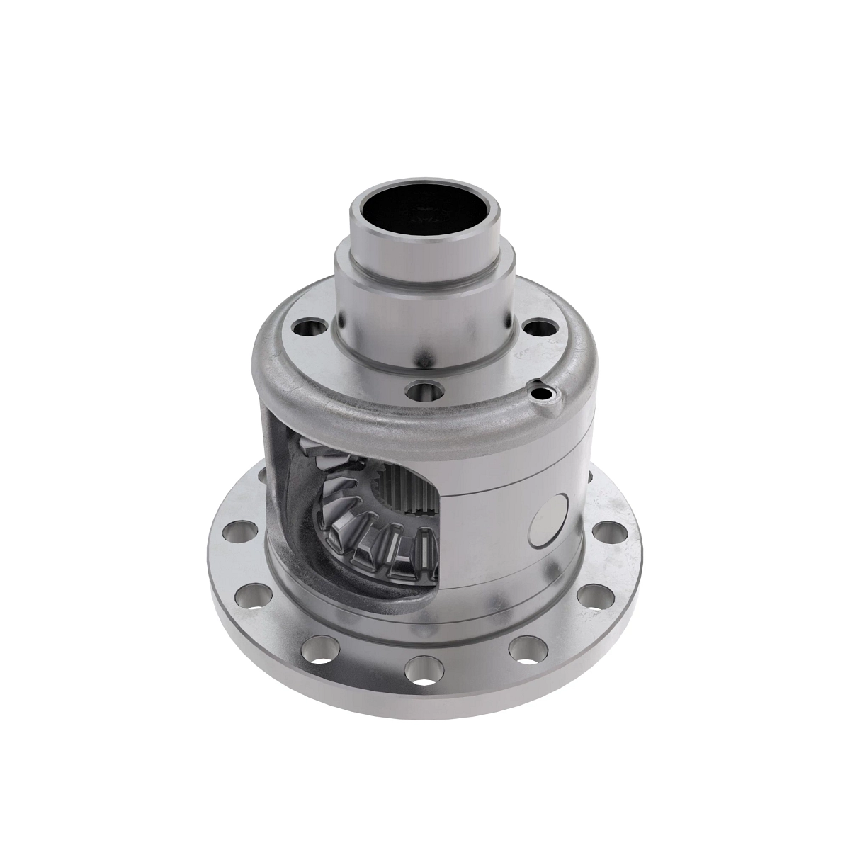 Differential, 2-Pinion