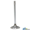 Intake Valve
