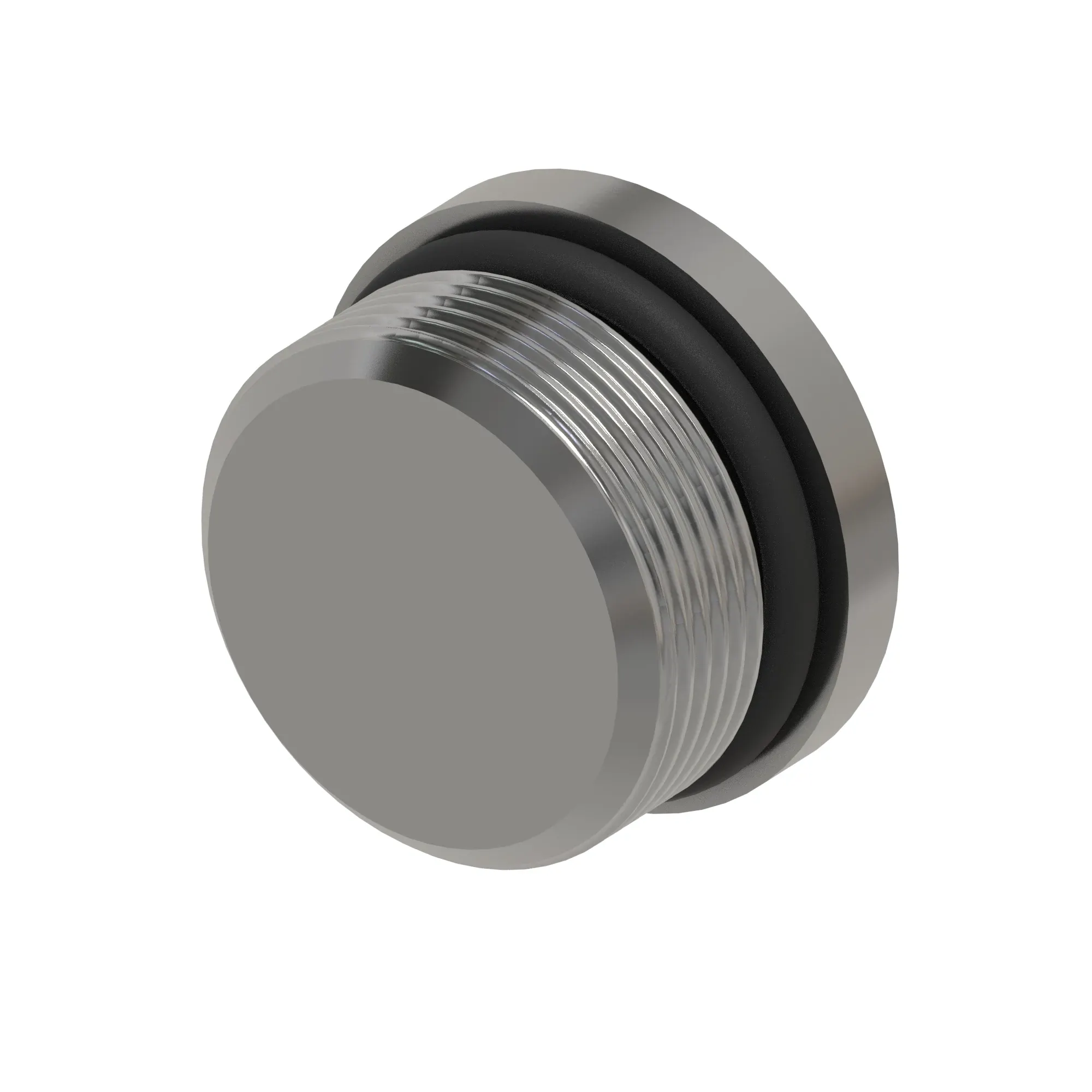 Fitting Plug