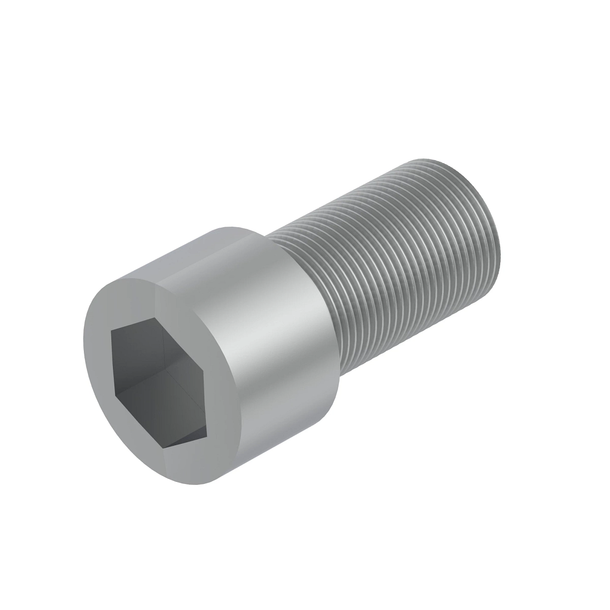 Screw, Hex Socket Head, Metric