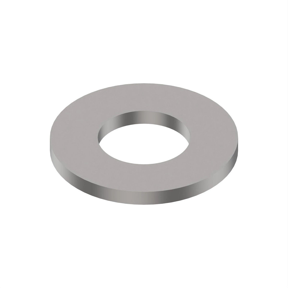 Thrust Washer, Gudgeon