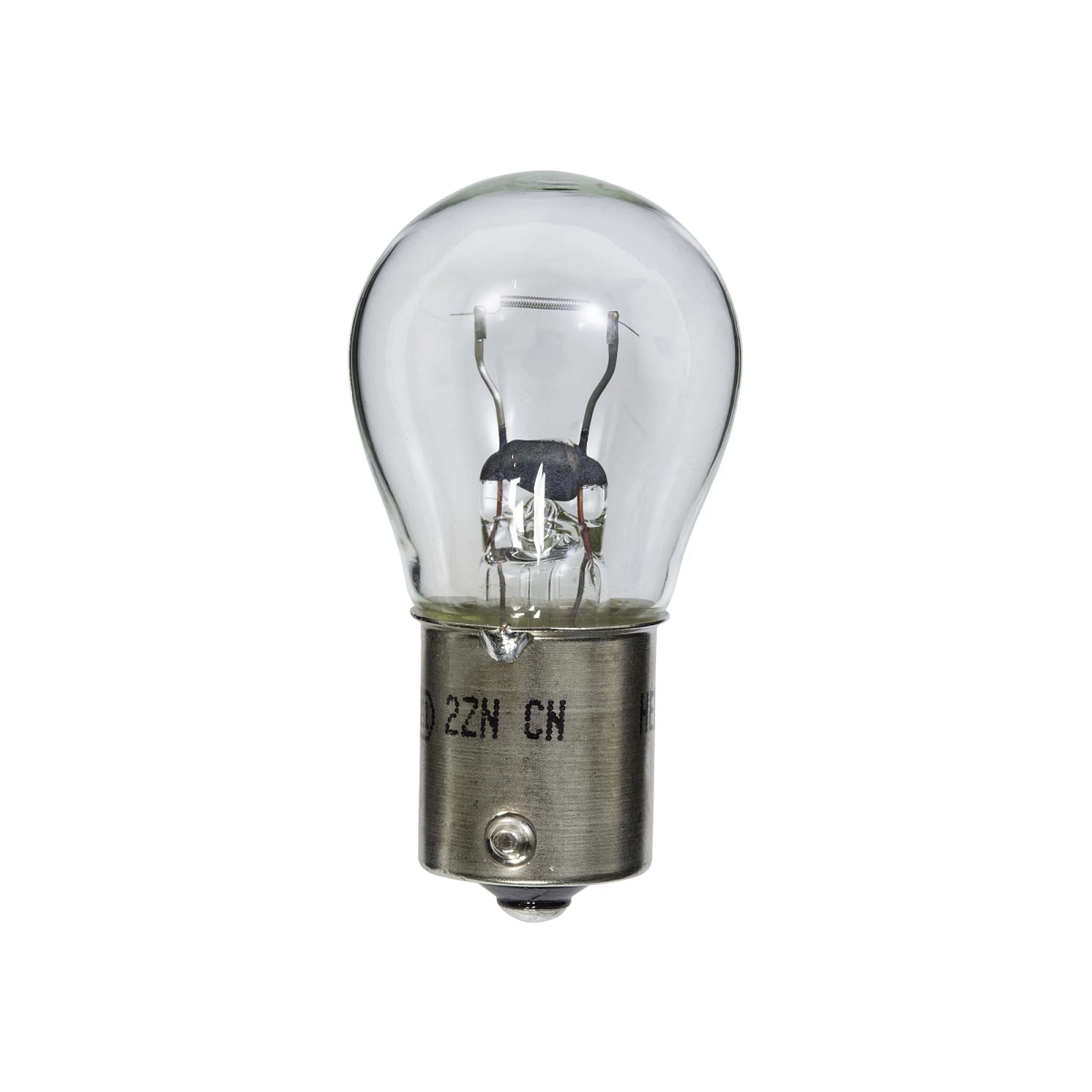 Bulb, Parts/