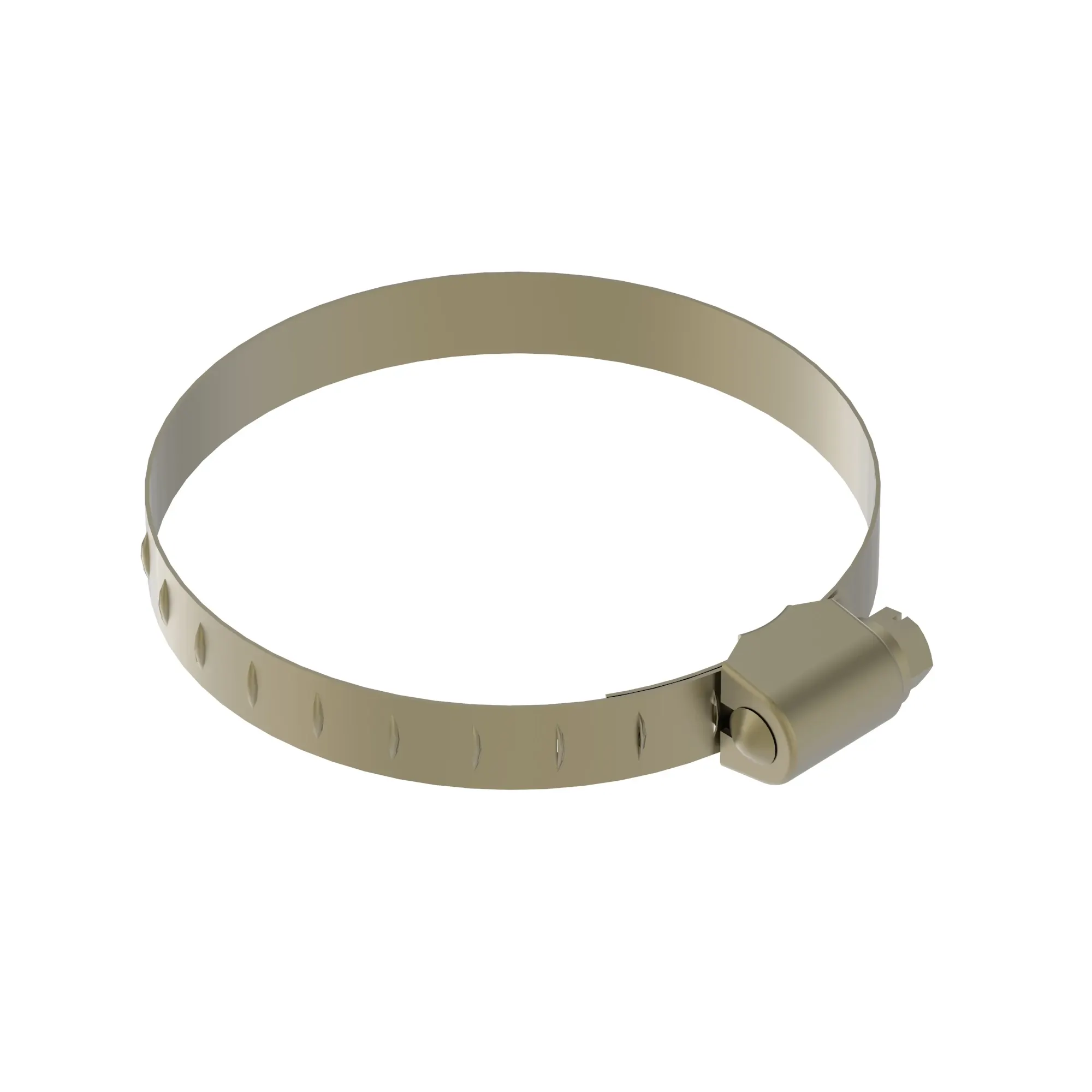 Hose Clamp