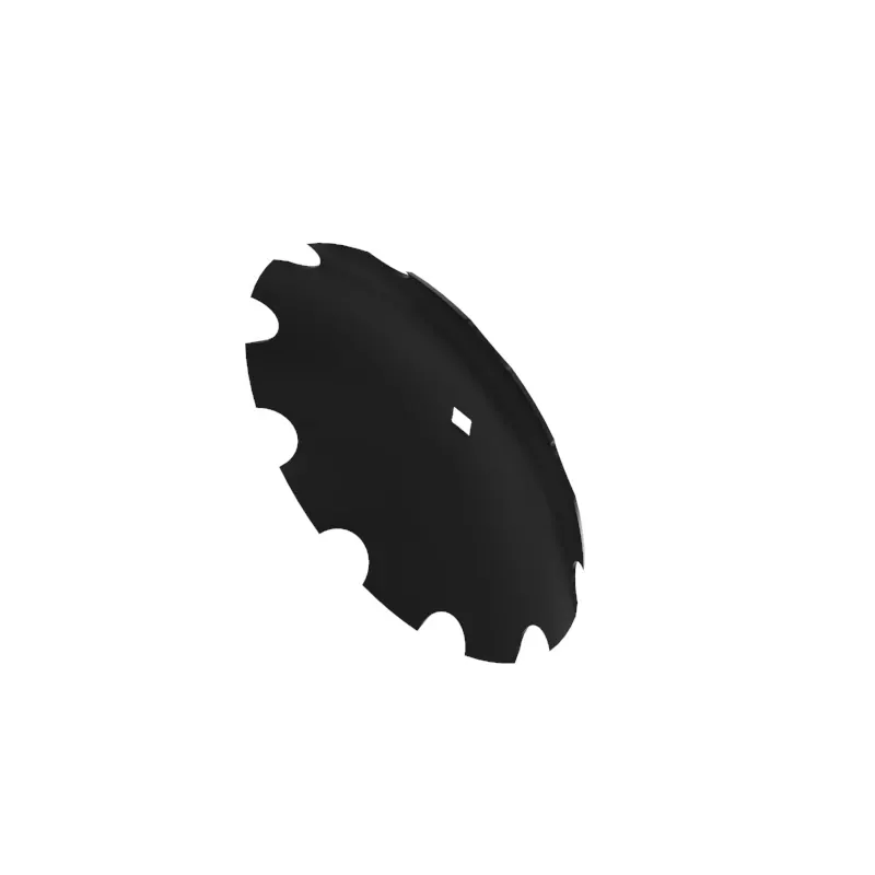 Disk