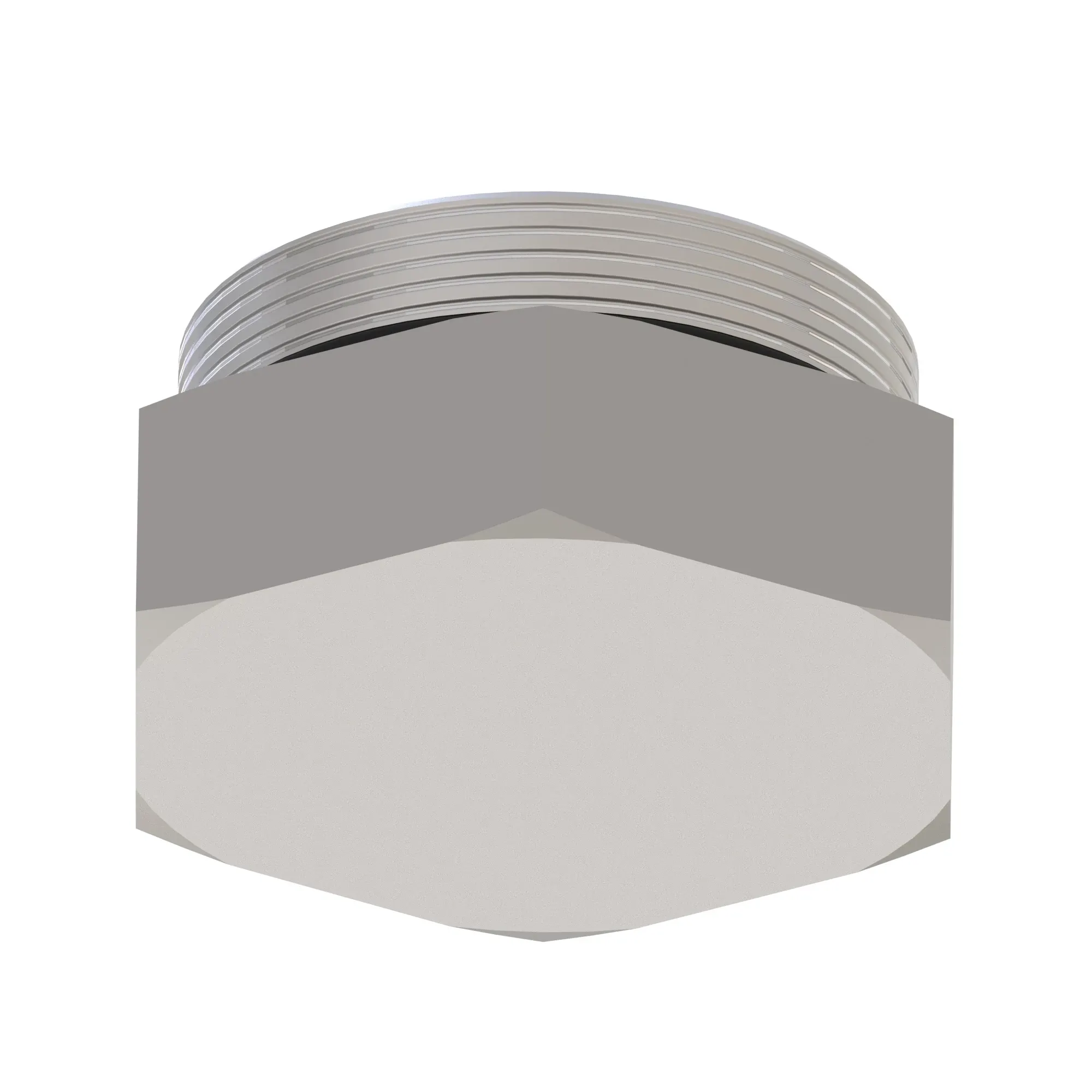 Fitting Plug