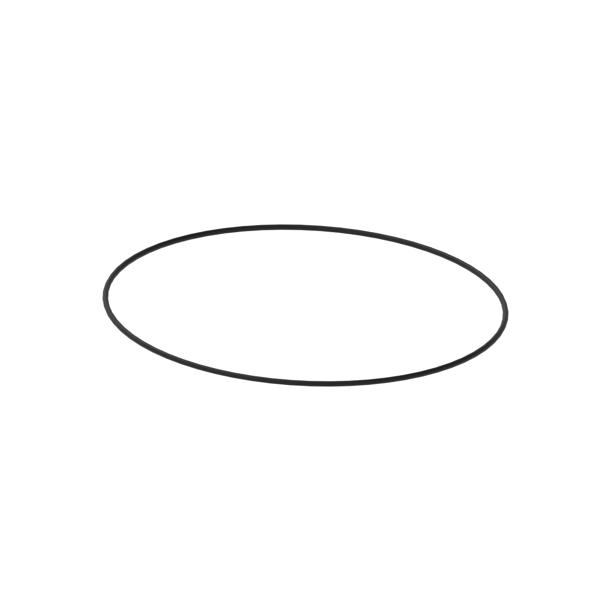 O-Ring