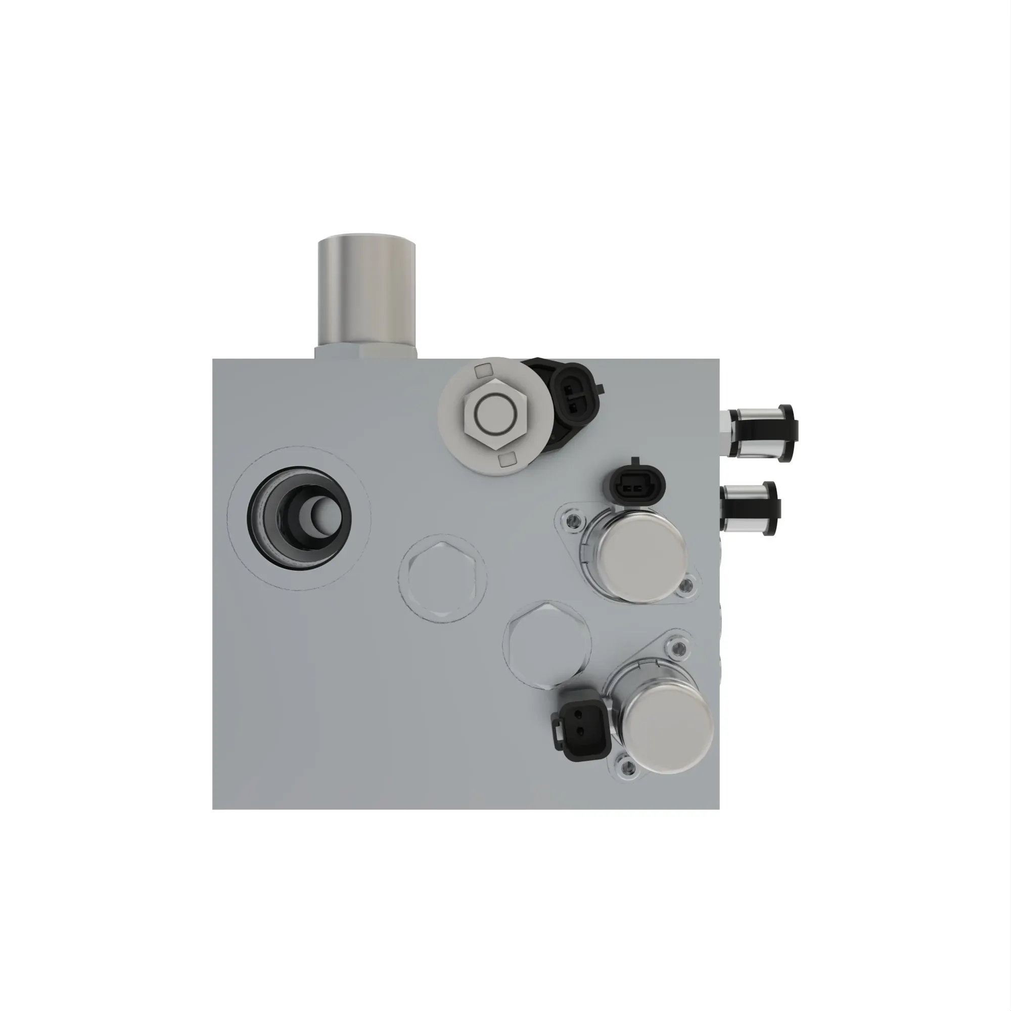 manifold
