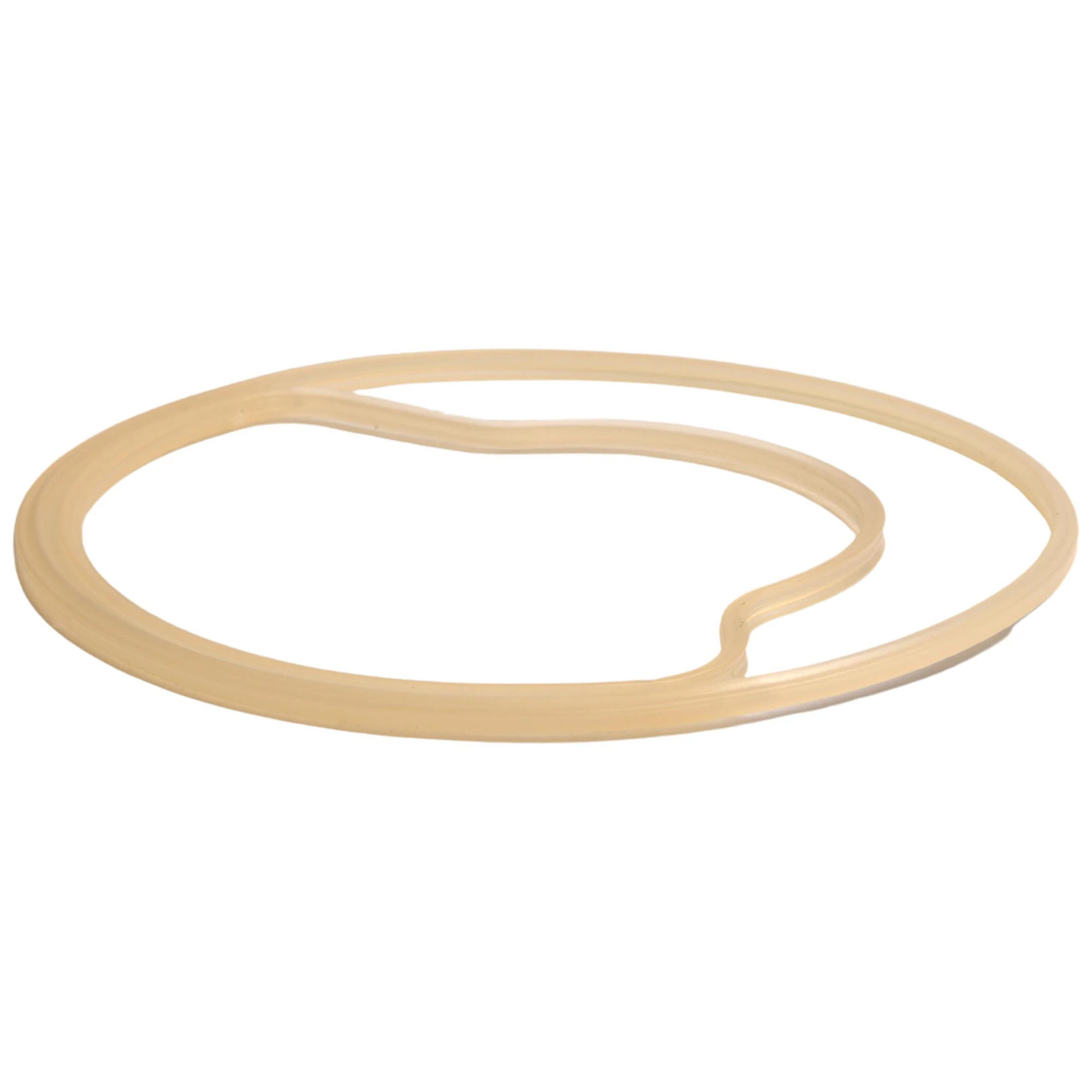 John Deere Charge Pump Side Plate Seal - AKK17760