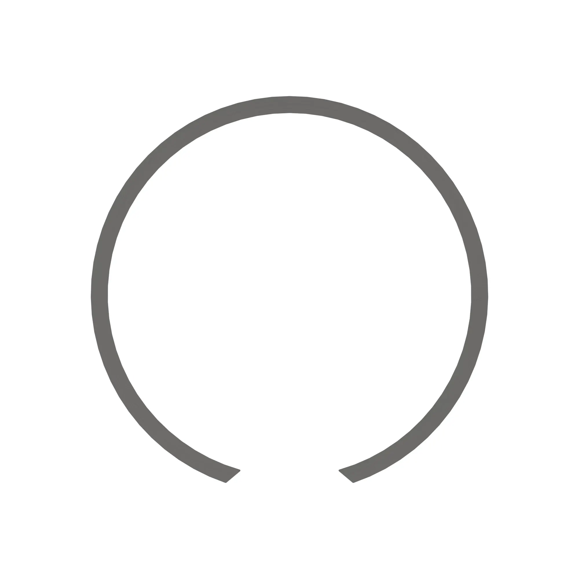 Snap Ring