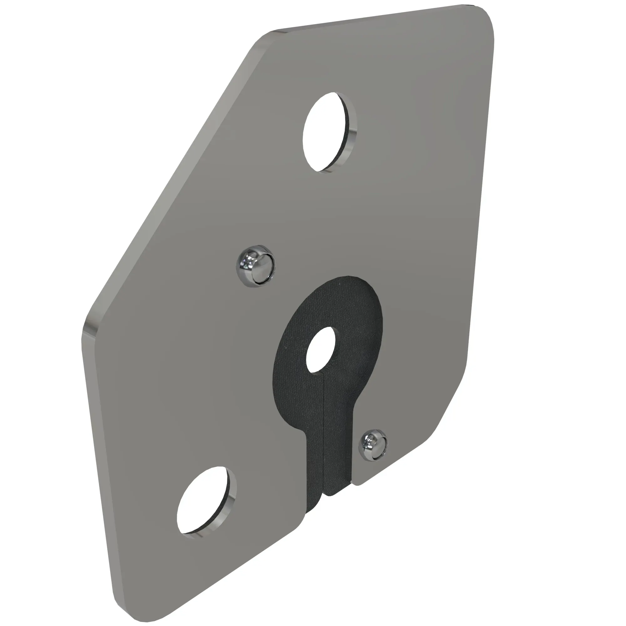 EXHAUST PRESSURE SENSOR COVERPLATE, SST