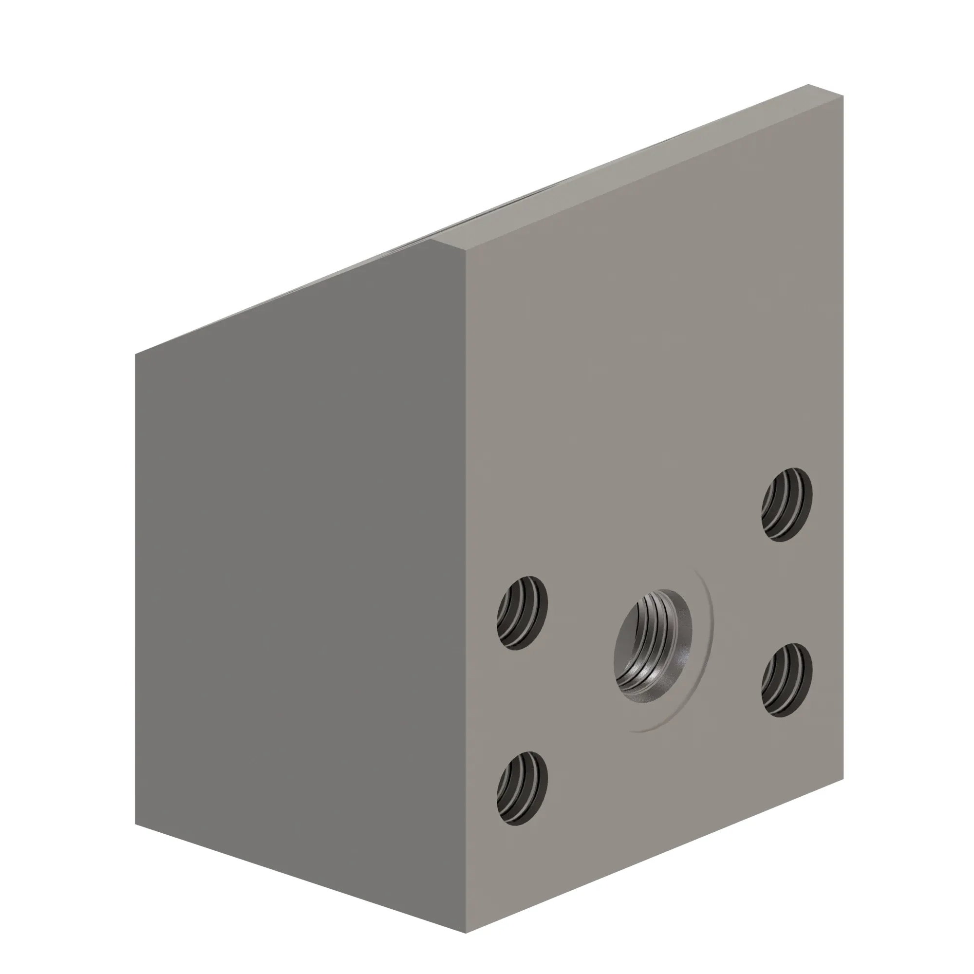 Manifold