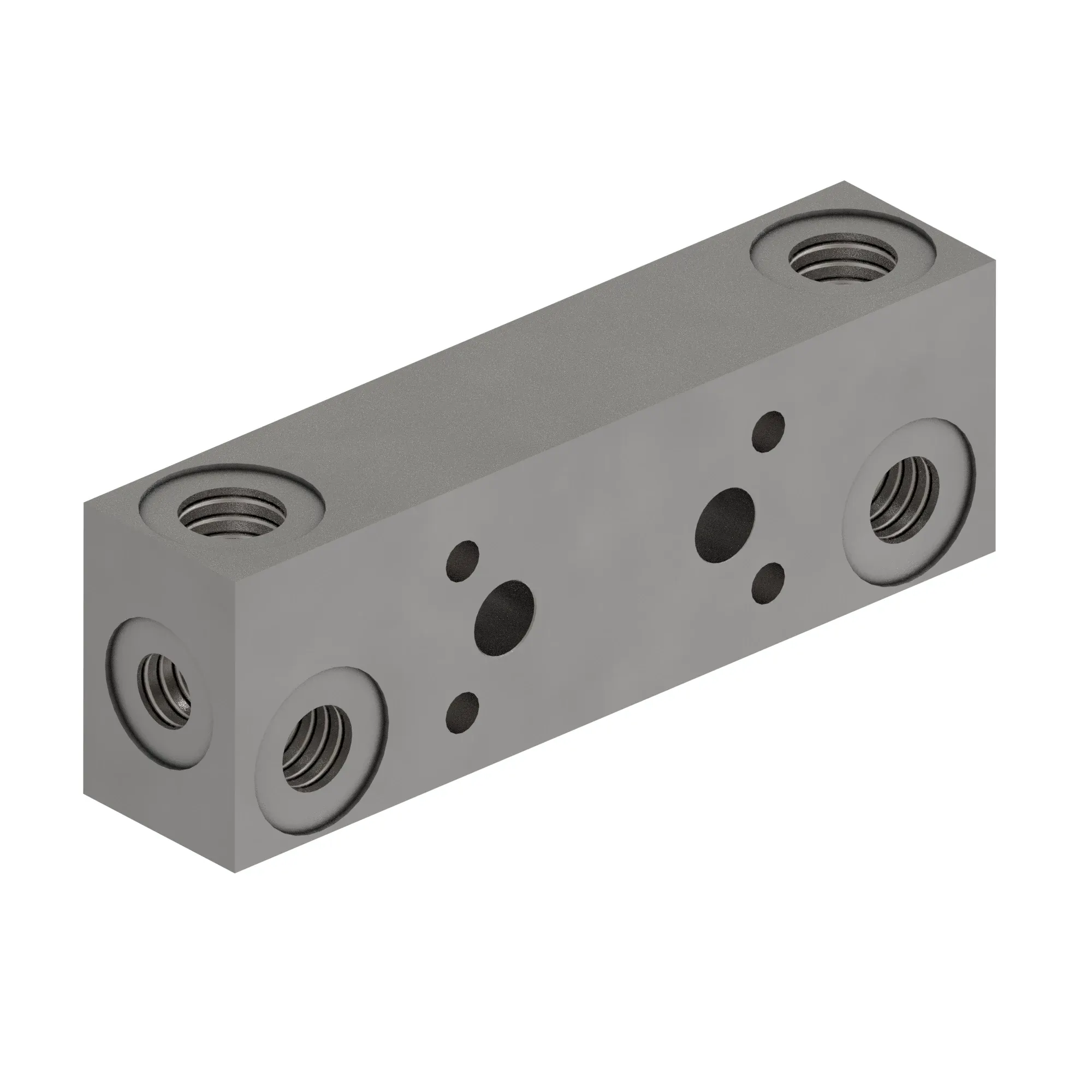 Manifold