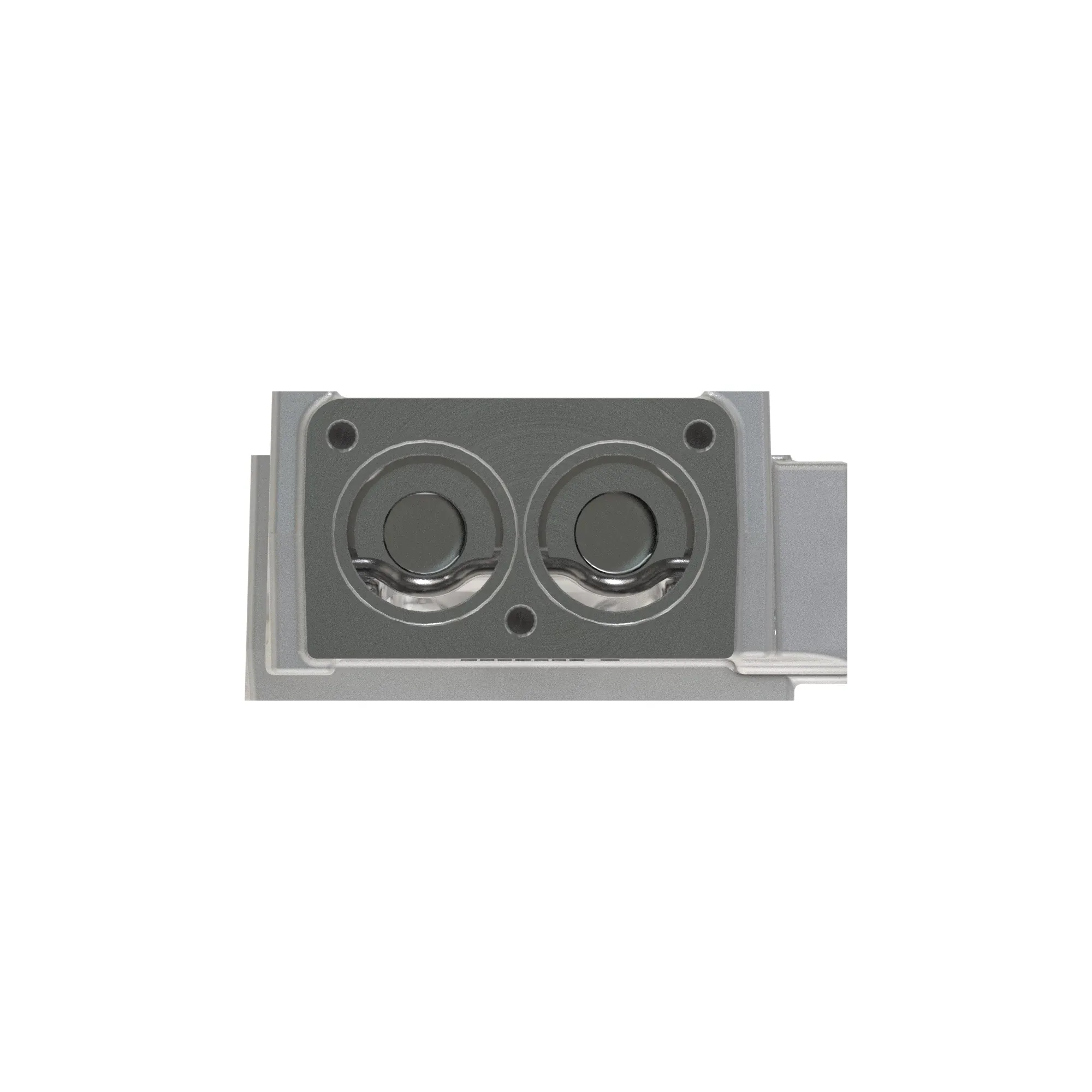 manifold
