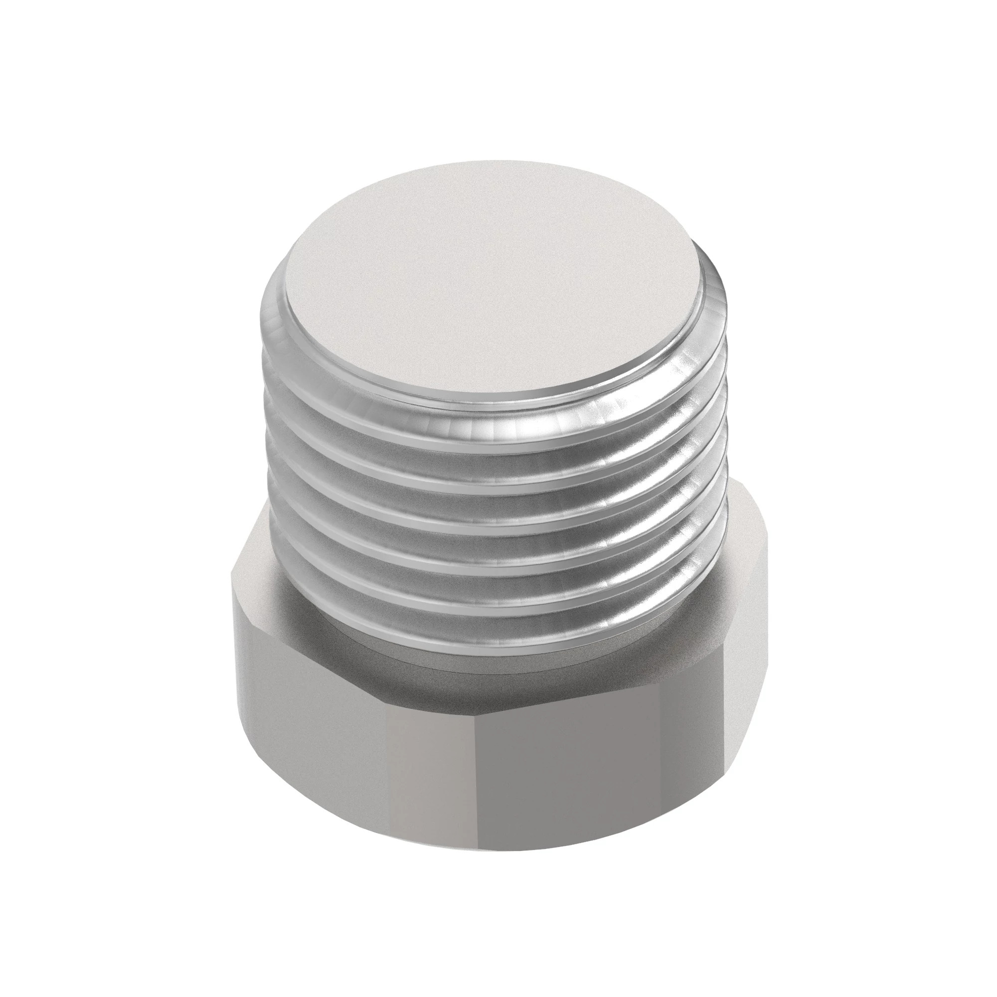 SIGHT PLUG