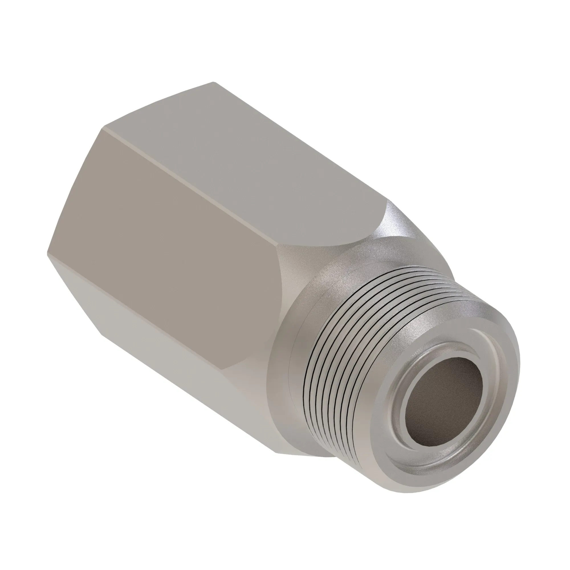Check Valve