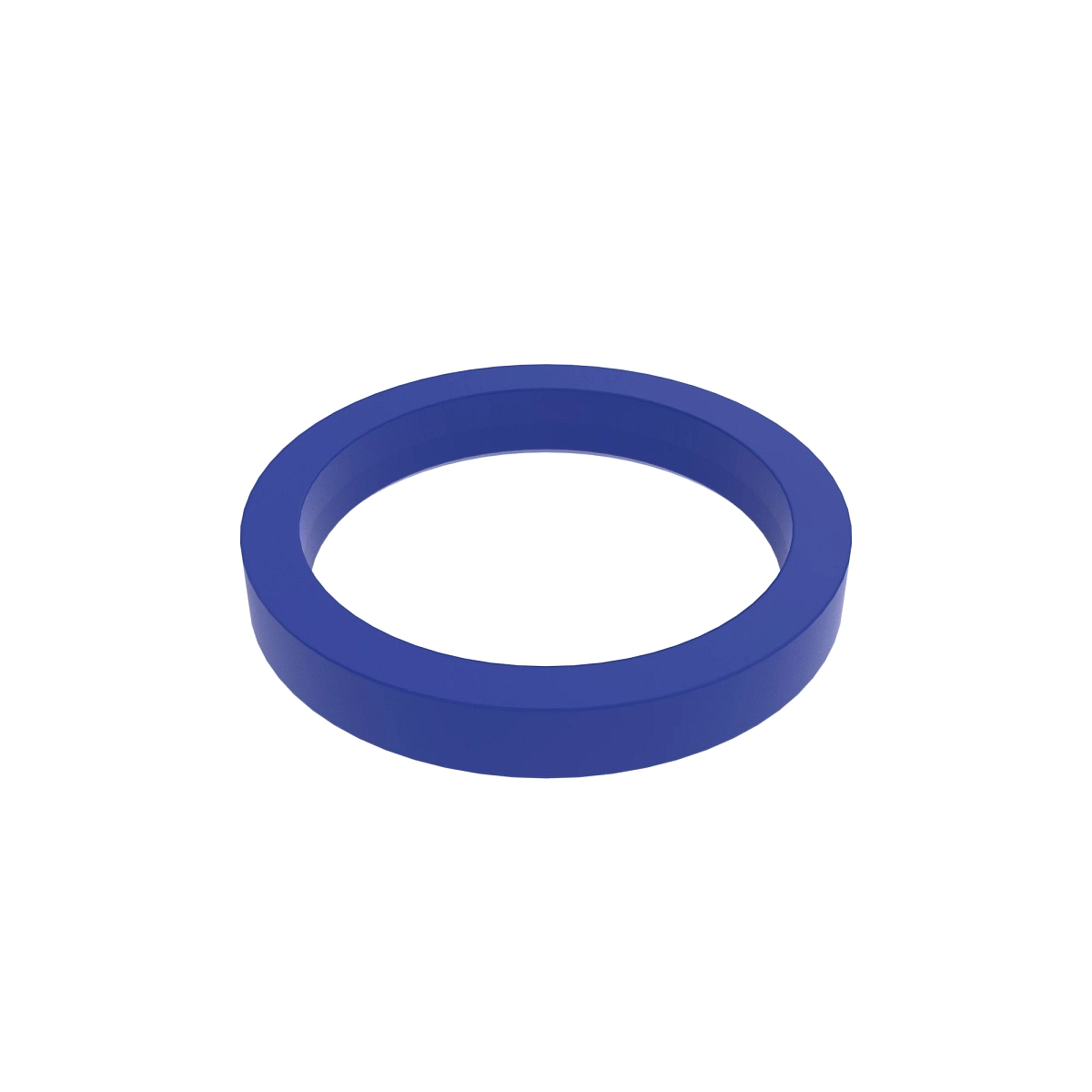 Seal, Ring, Groove