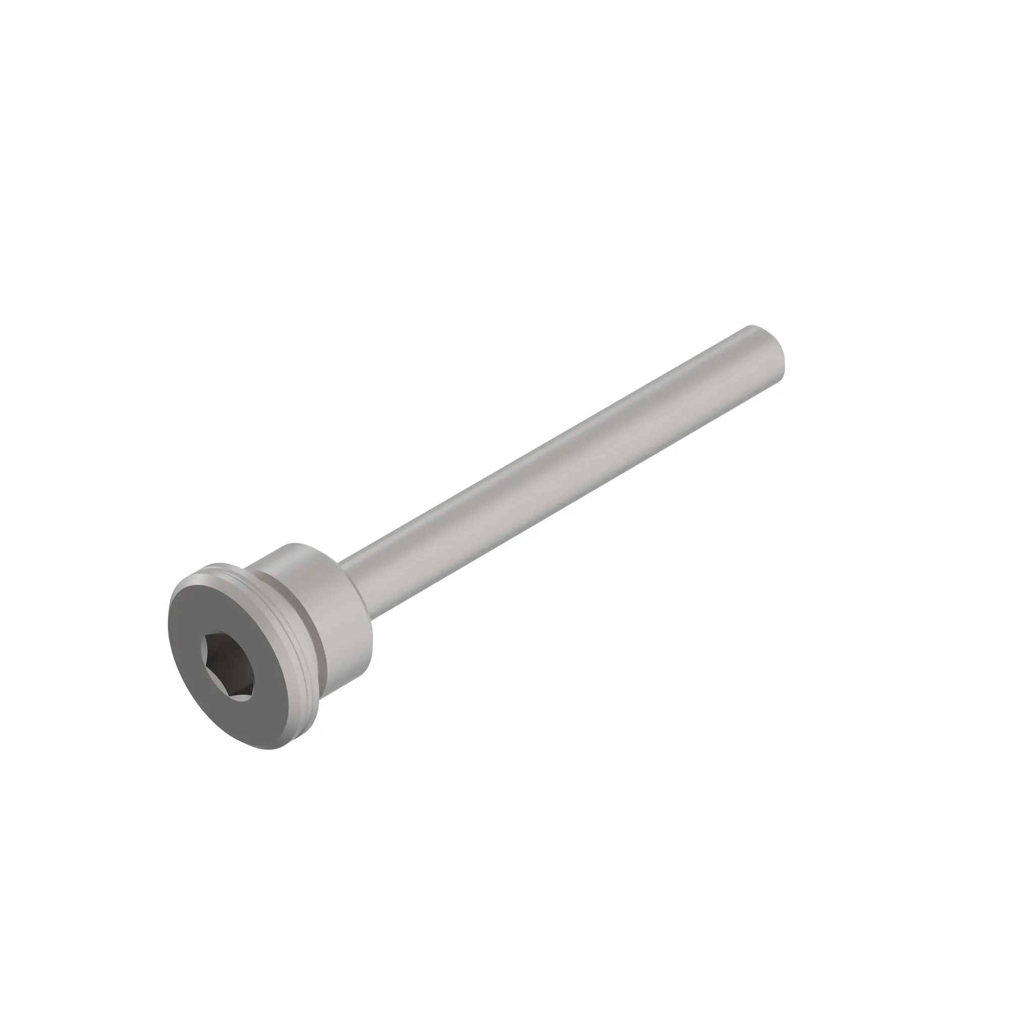 FITTING PLUG, PARK PIVOT SHAFT RETA