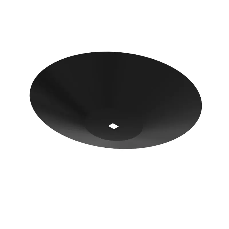 Disk