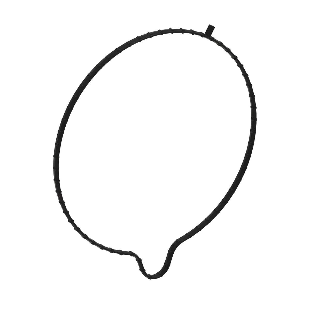 Crankshaft Seal