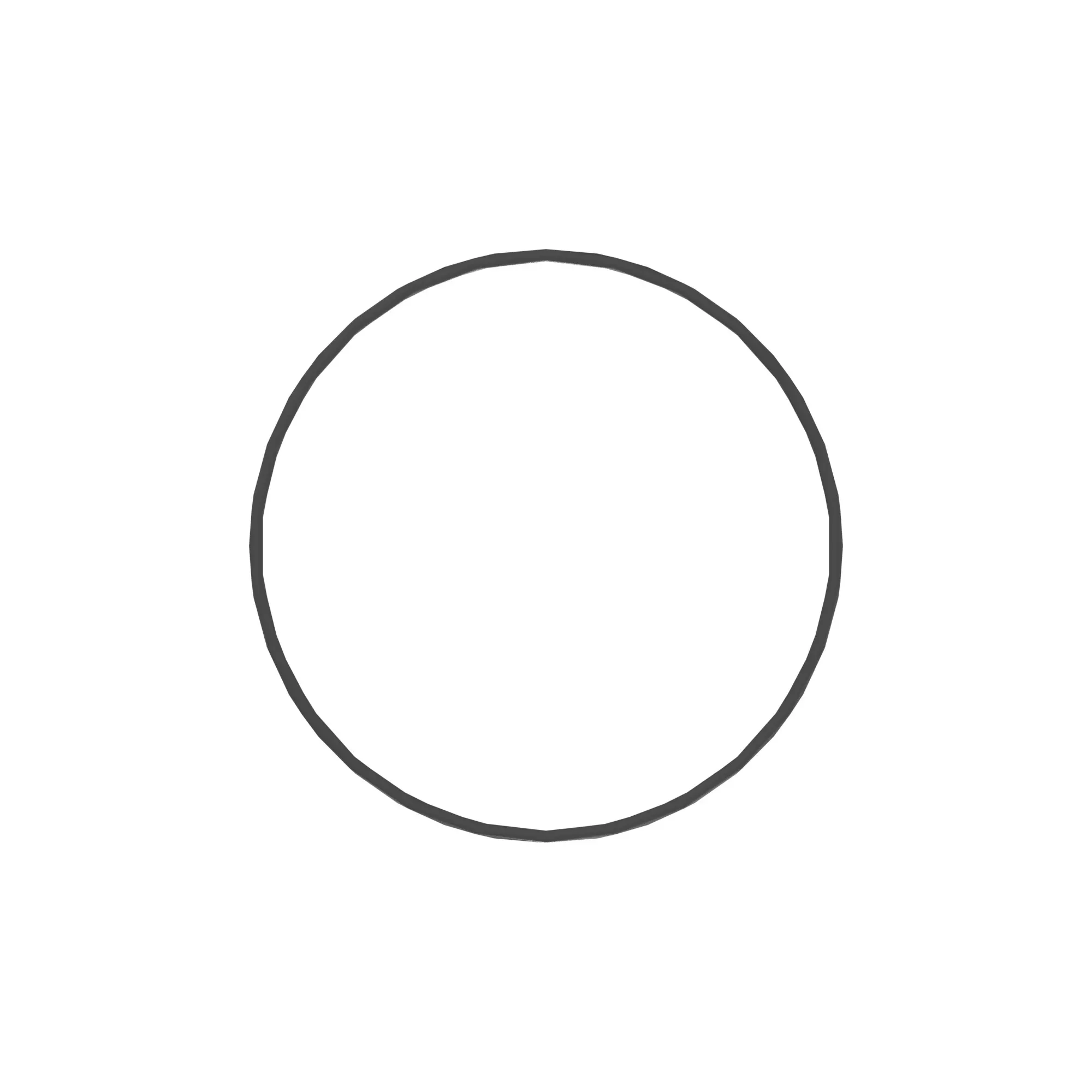 O-Ring