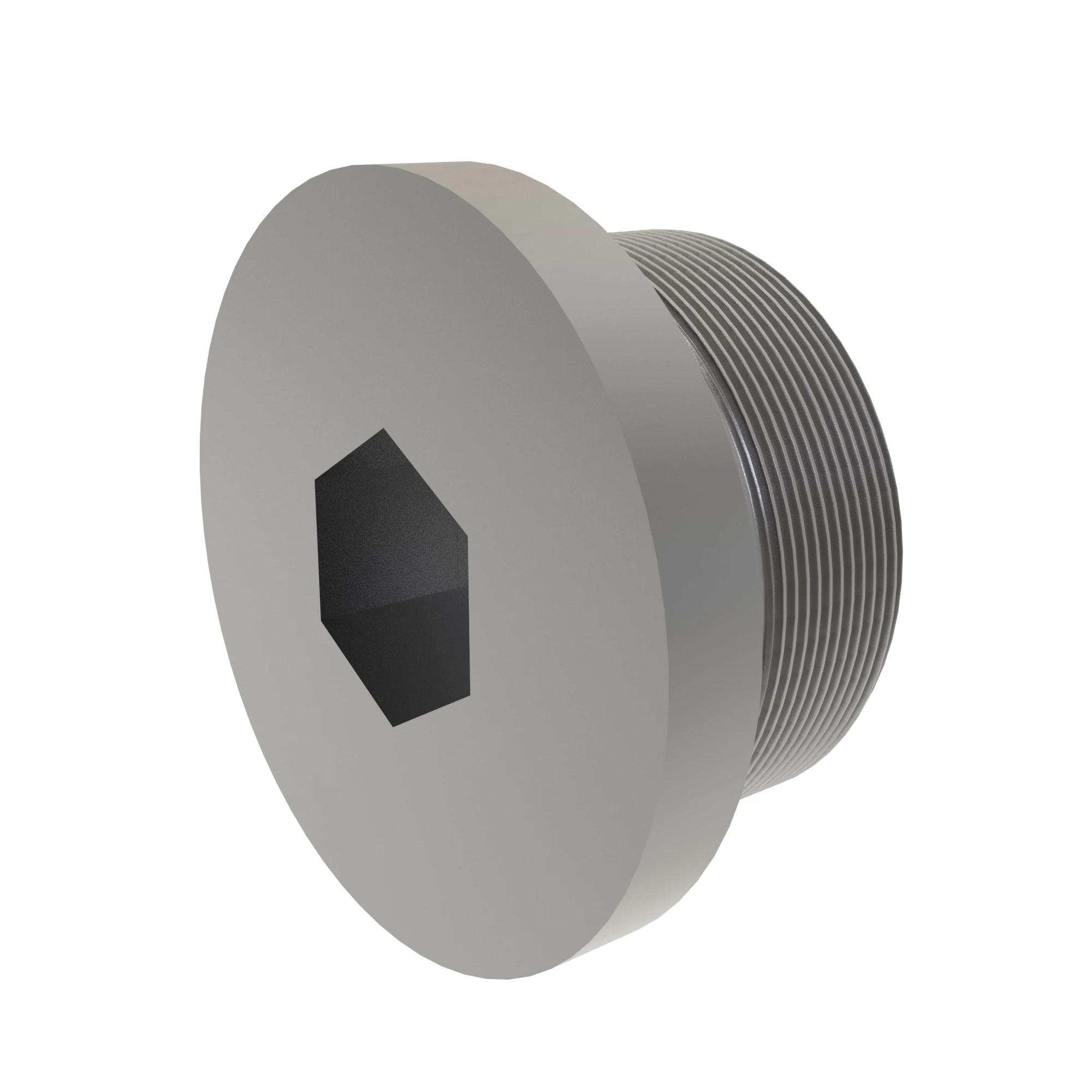 FITTING PLUG, V