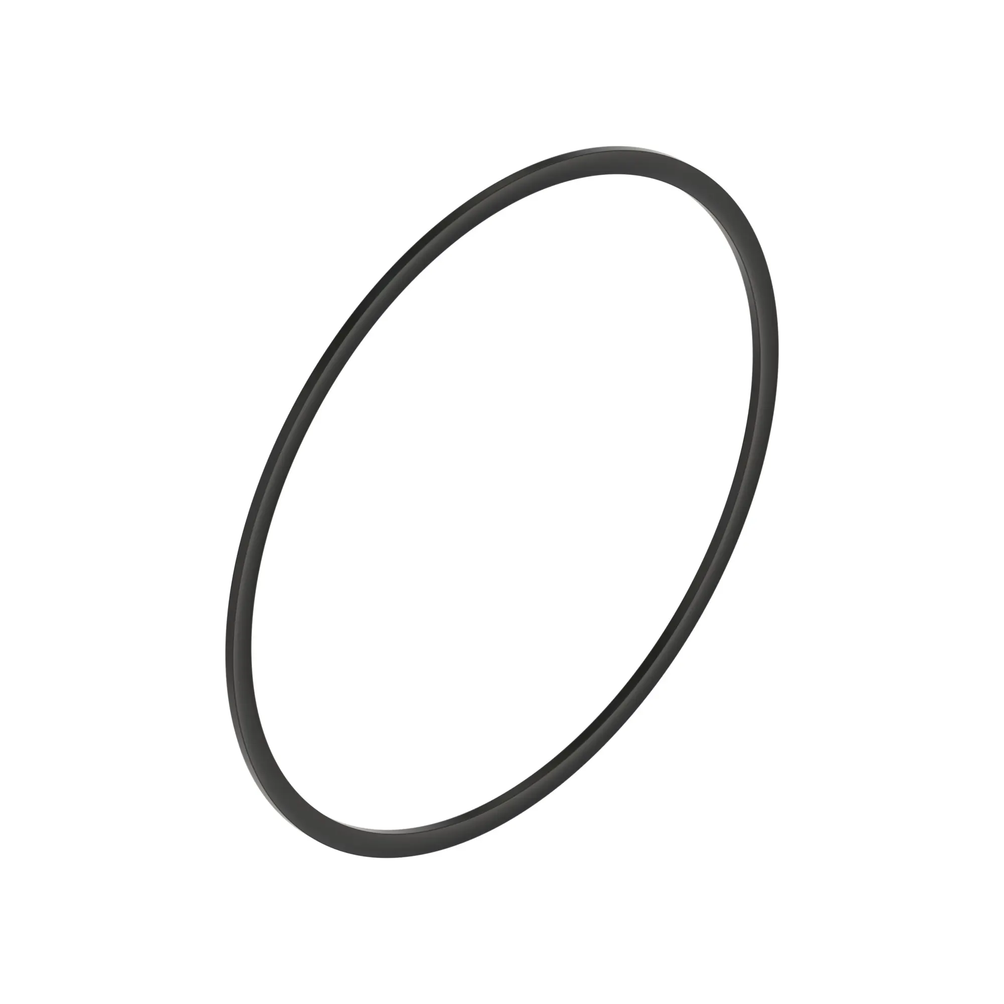 Back-Up Ring