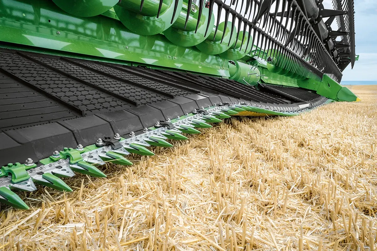 Google Discover Ha Una Nuova Barra Di Ricerca, A Cosa Serve - Foto 10