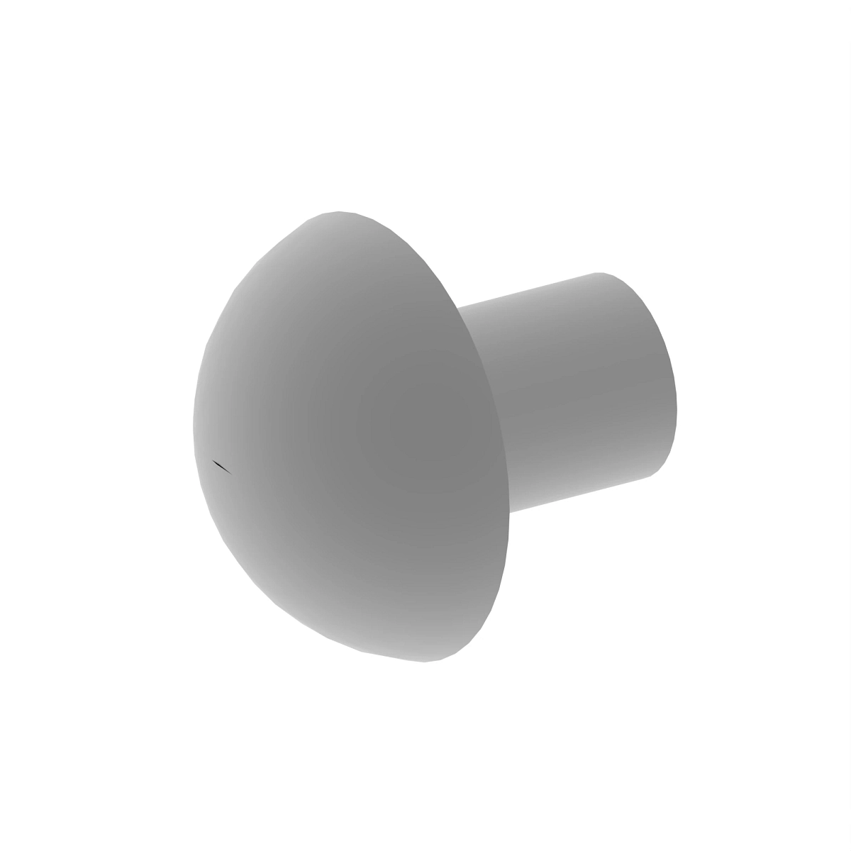 Rivet