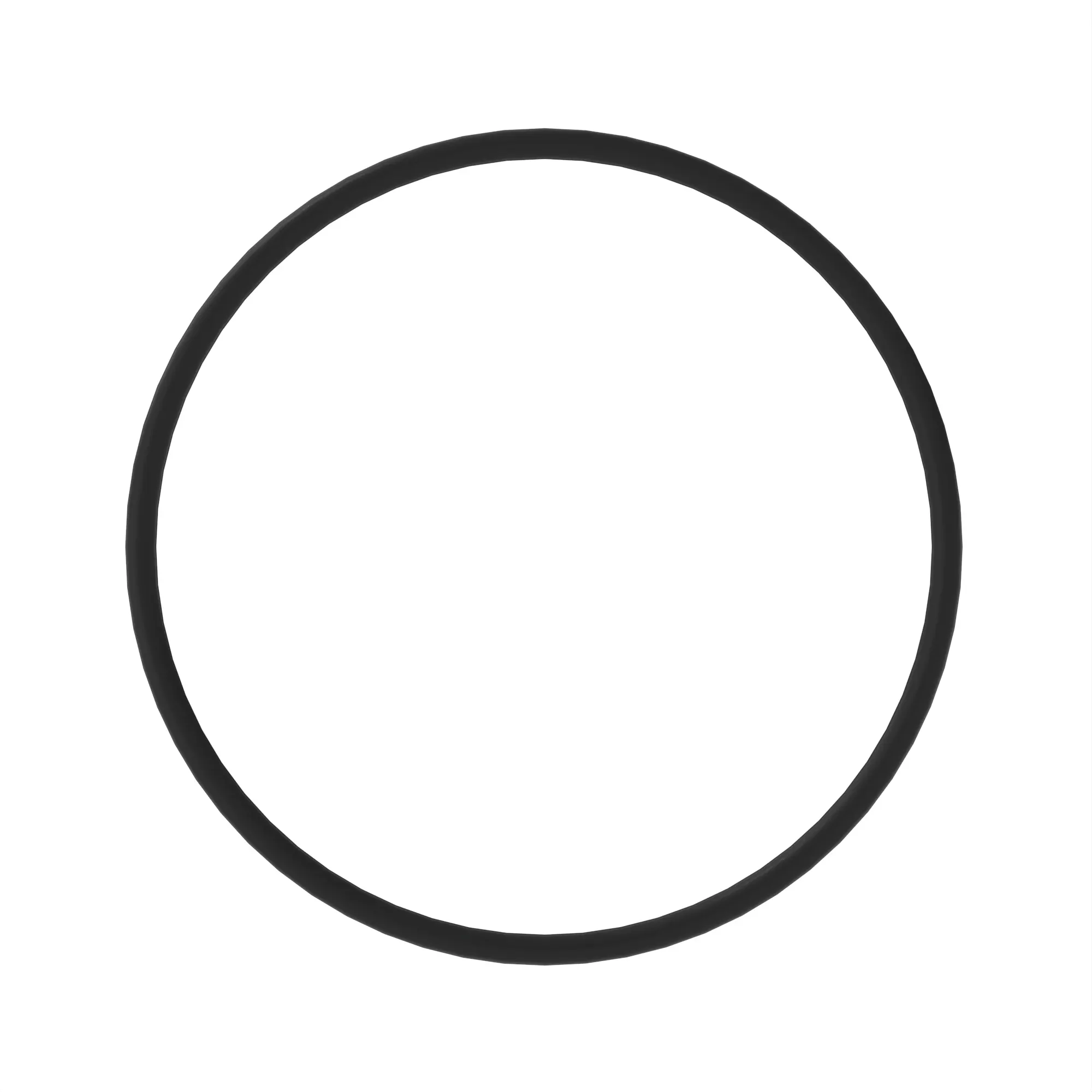 O-Ring
